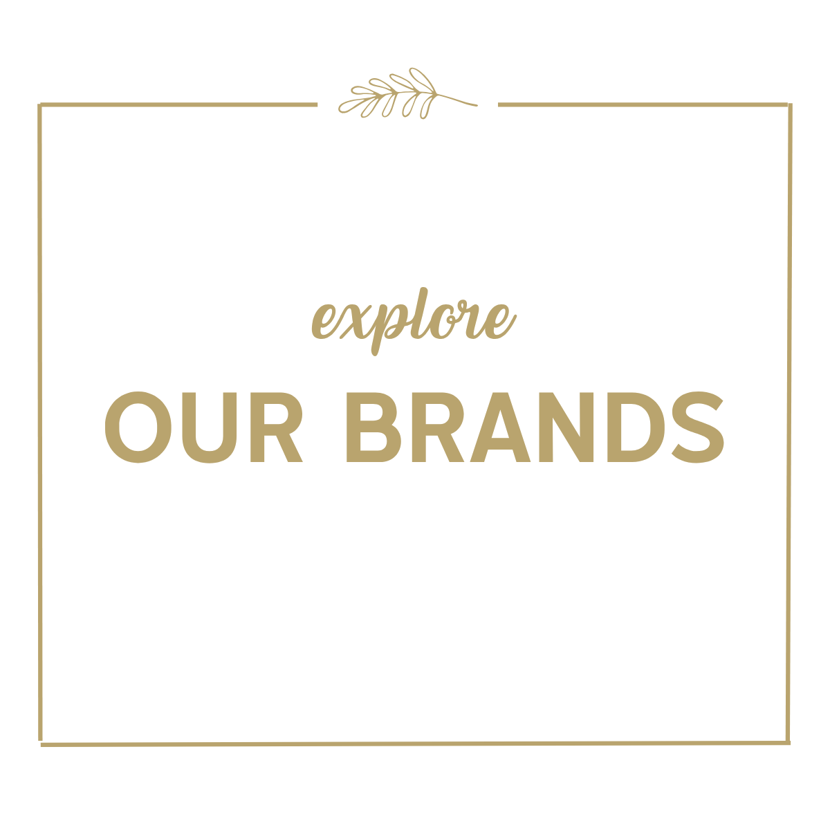 Shop All Brands