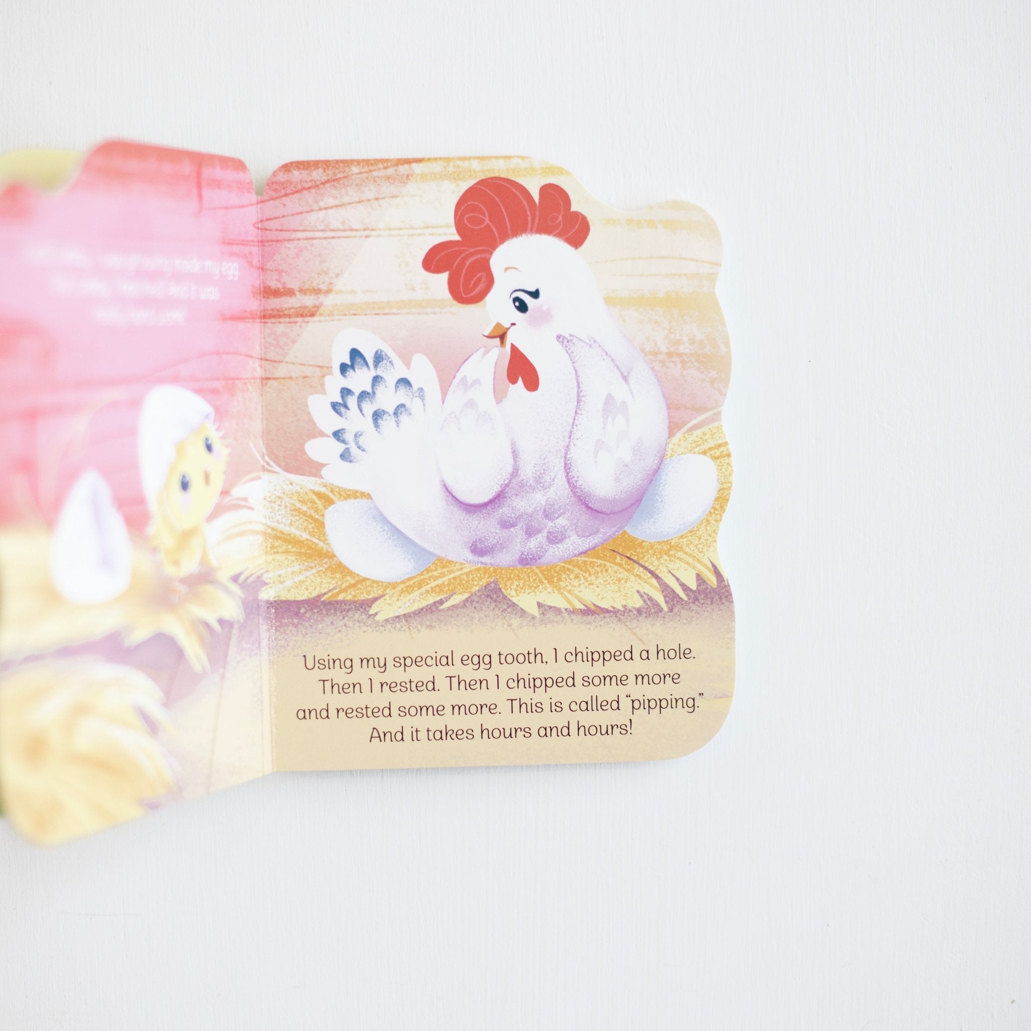 A Little Chick