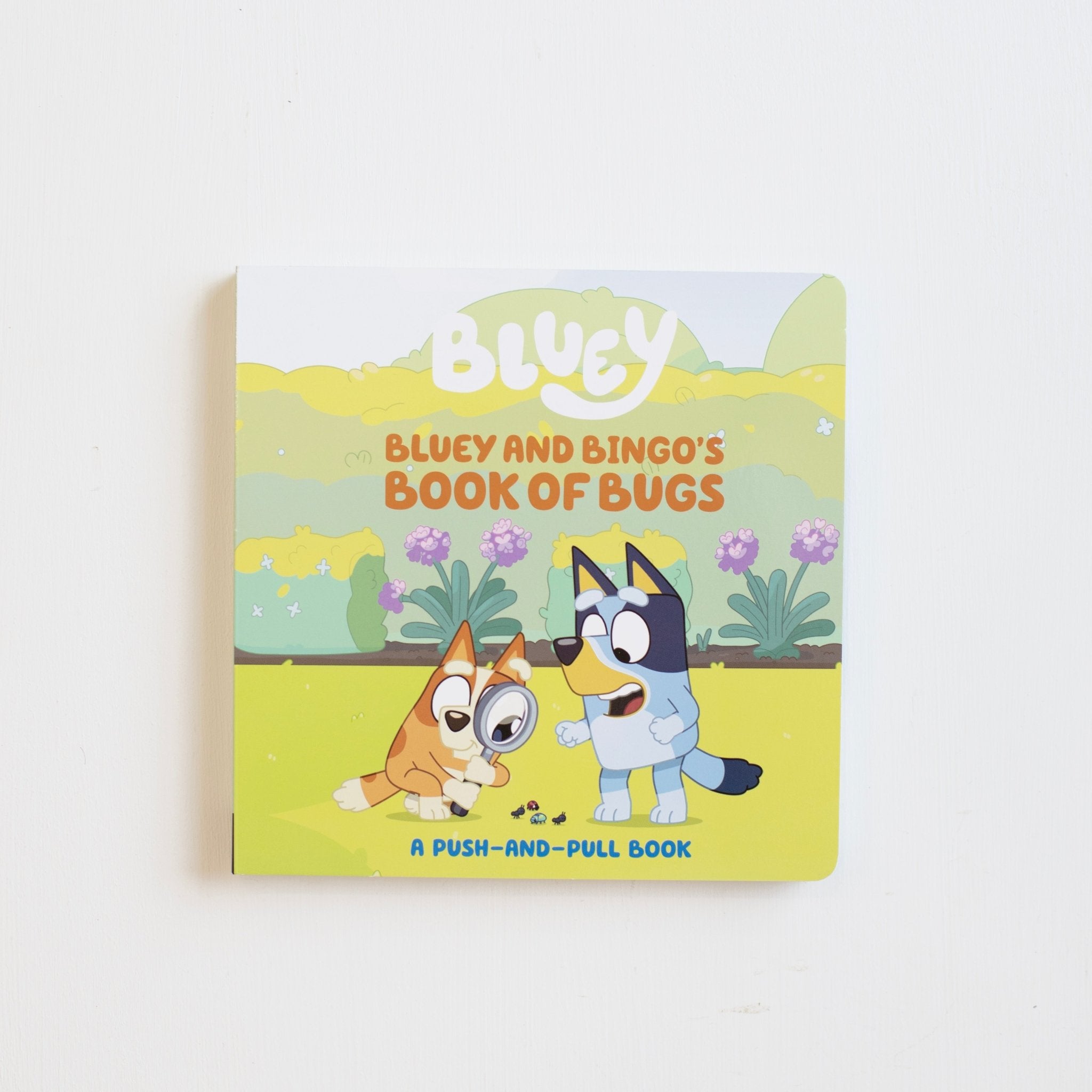 Bluey and Bingo's Book of Bugs