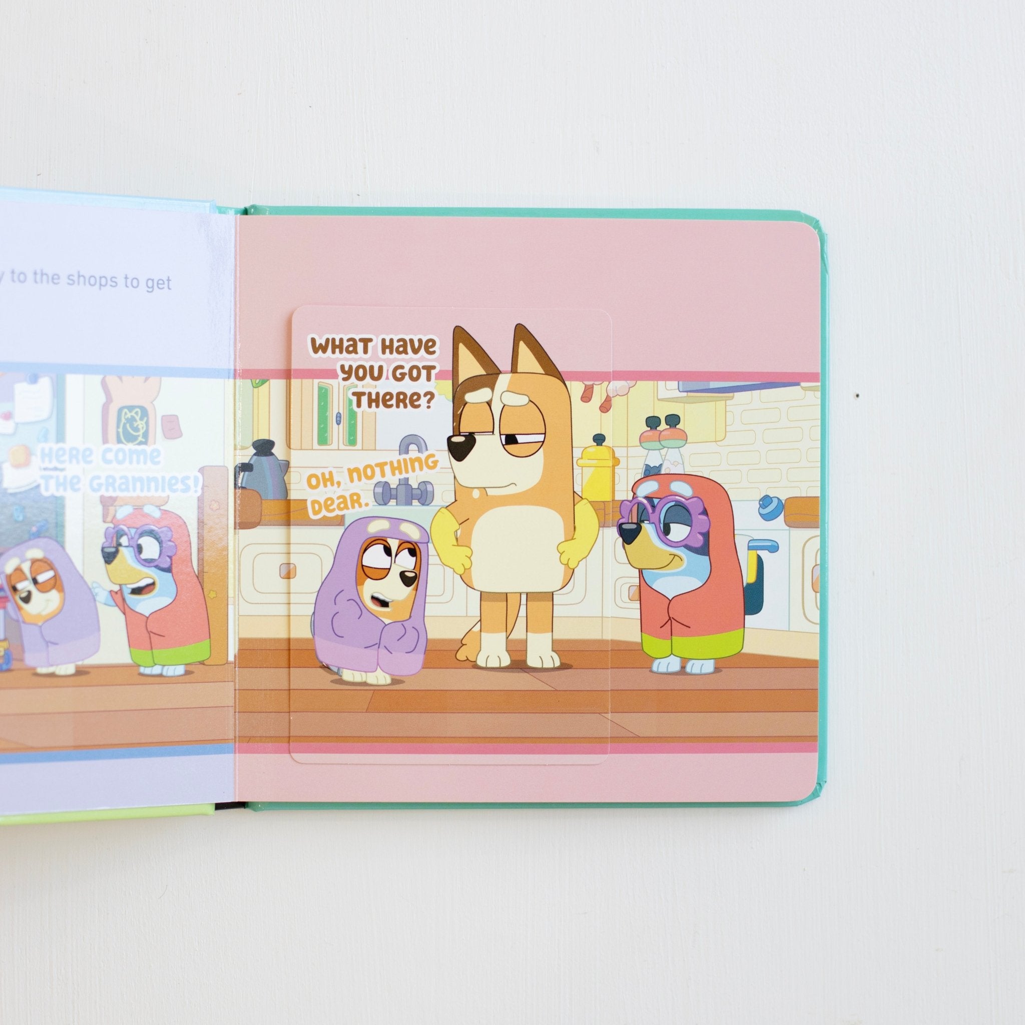 Bluey: What Games Should We Play?