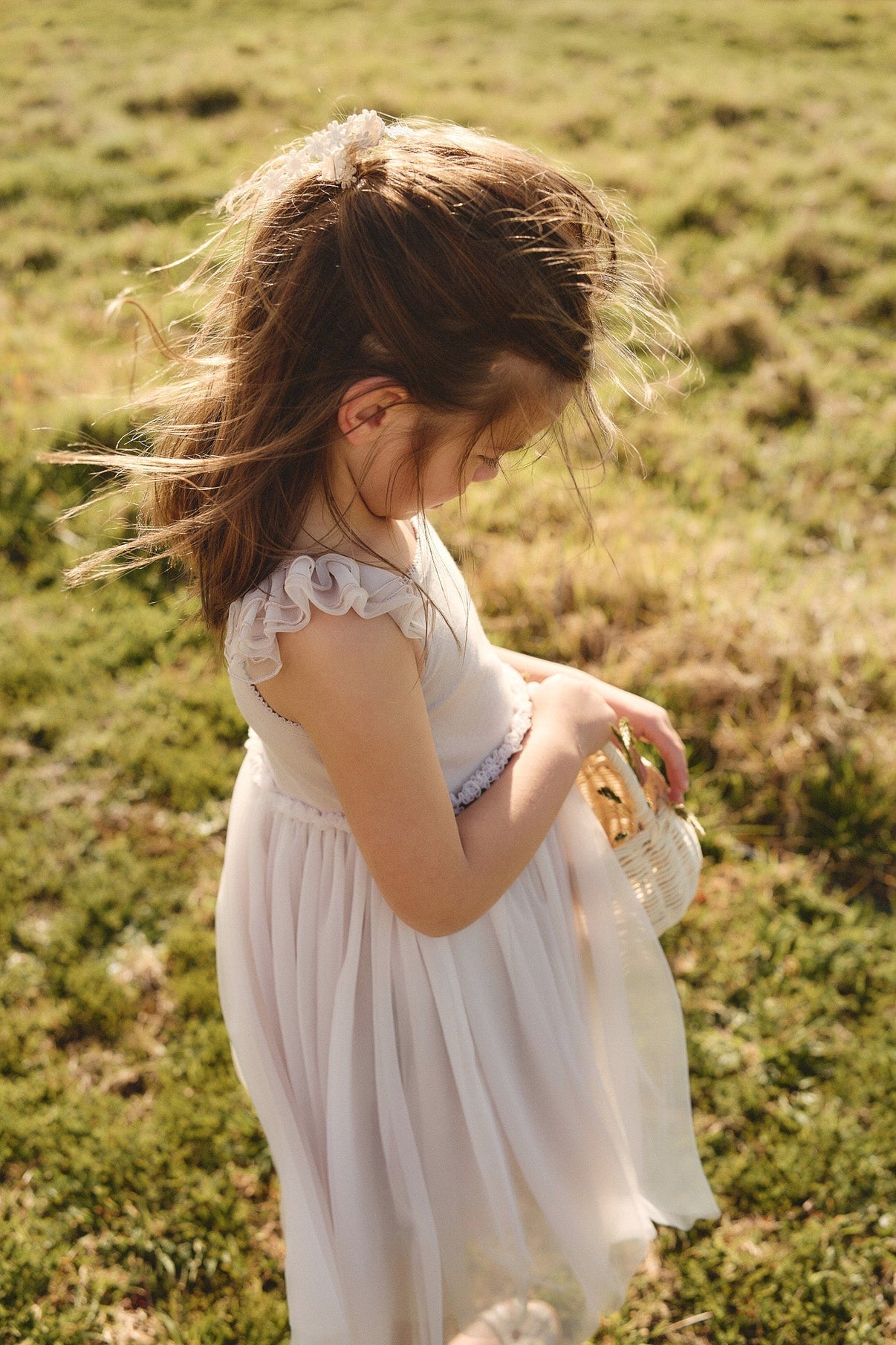 Emelia Dress || Luna