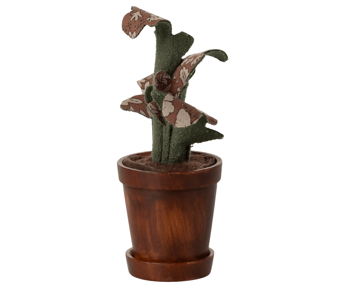 Flower pot with plant