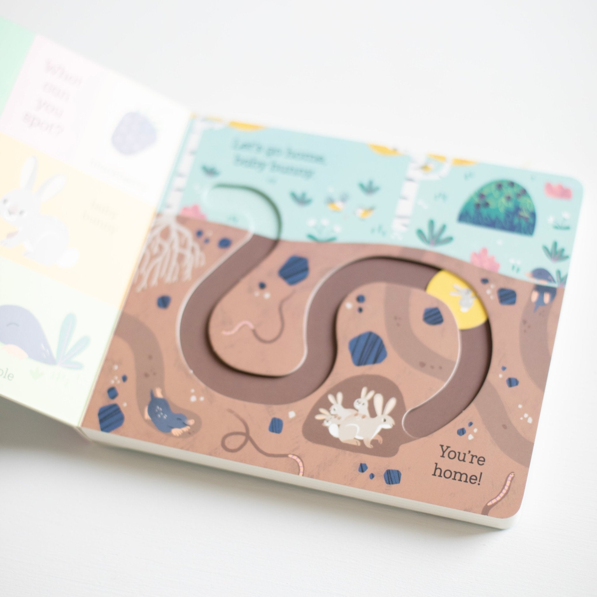 Let's Go Home, Baby Bunny