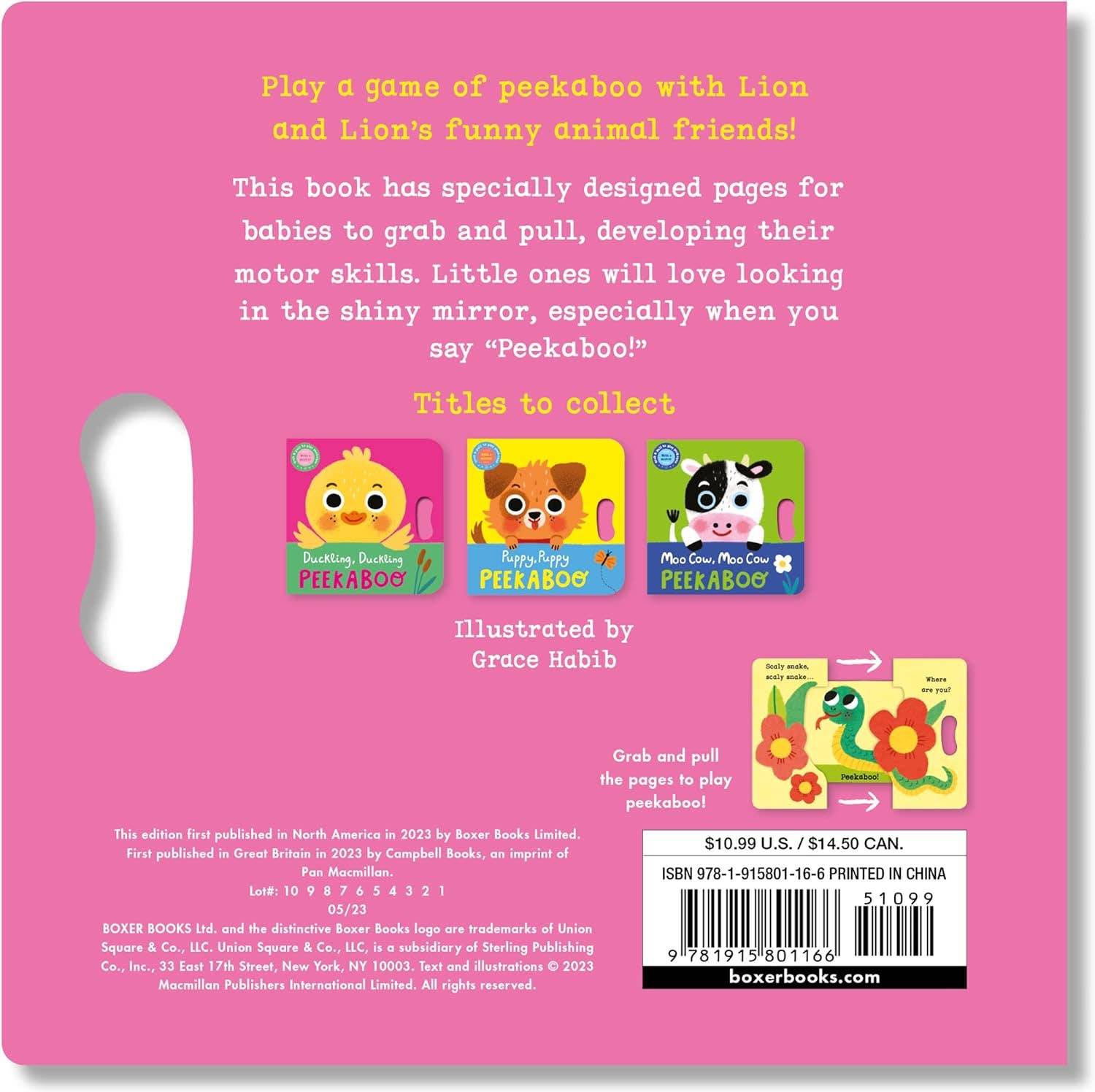Lion, Lion Peekaboo (Peekaboo Grab - and - Pull Books)