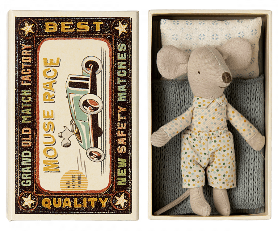 Little brother mouse in matchbox