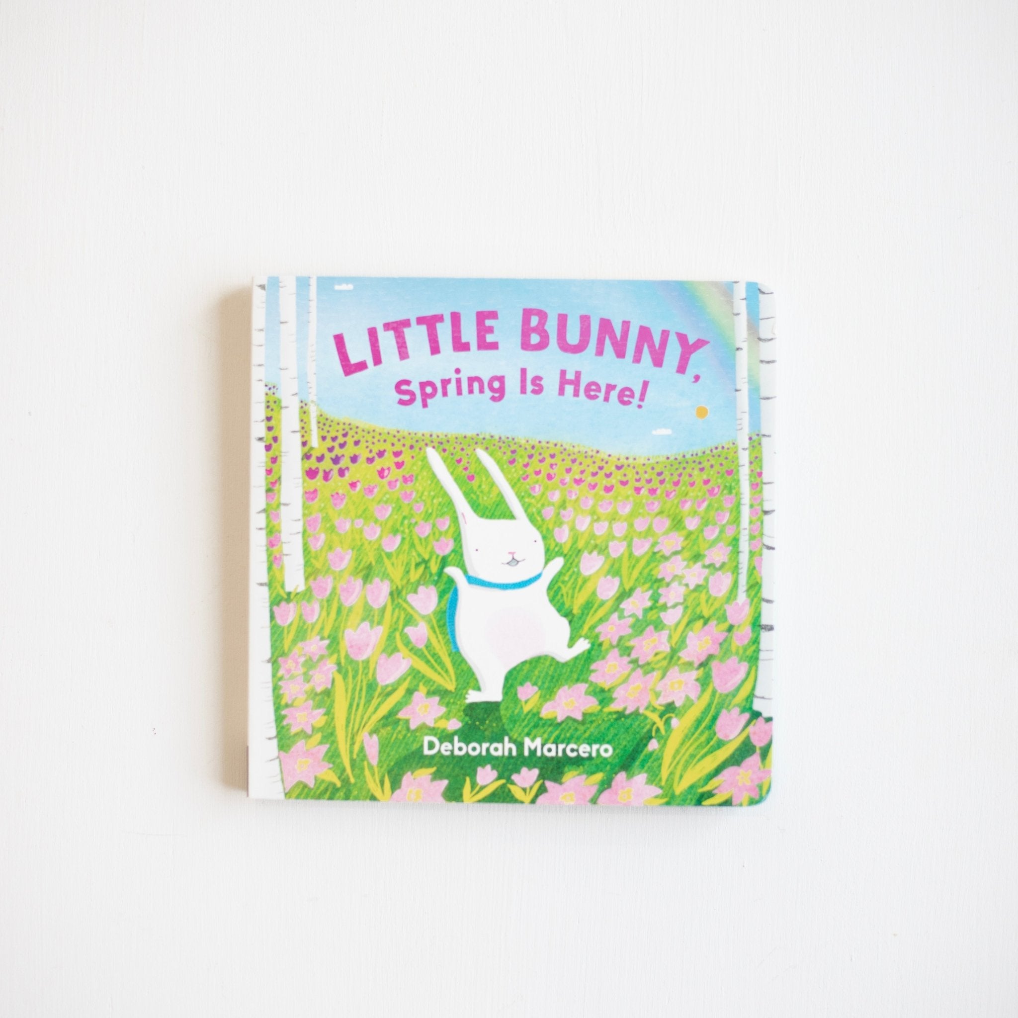 Little Bunny Spring Is Here!