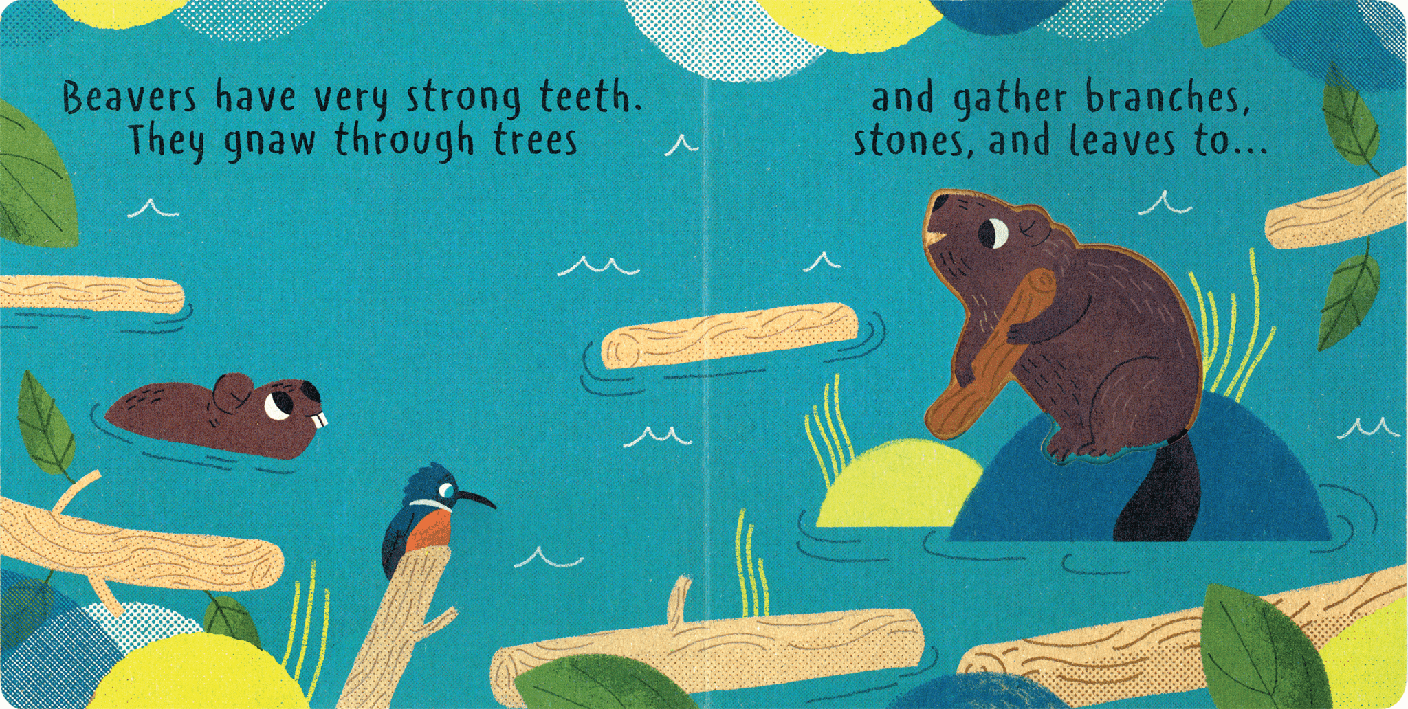 Little Nature: Build It