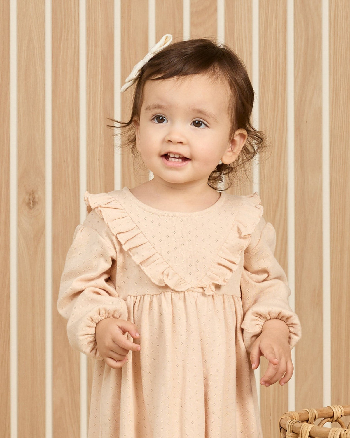 long sleeve shell dress Long Sleeve Ruffle V Dress in shell