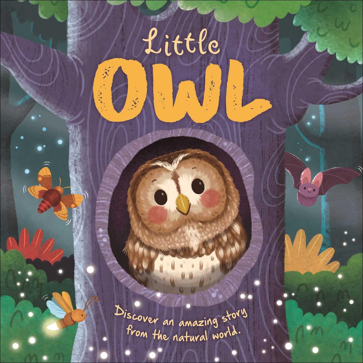 Nature Stories: Little Owl