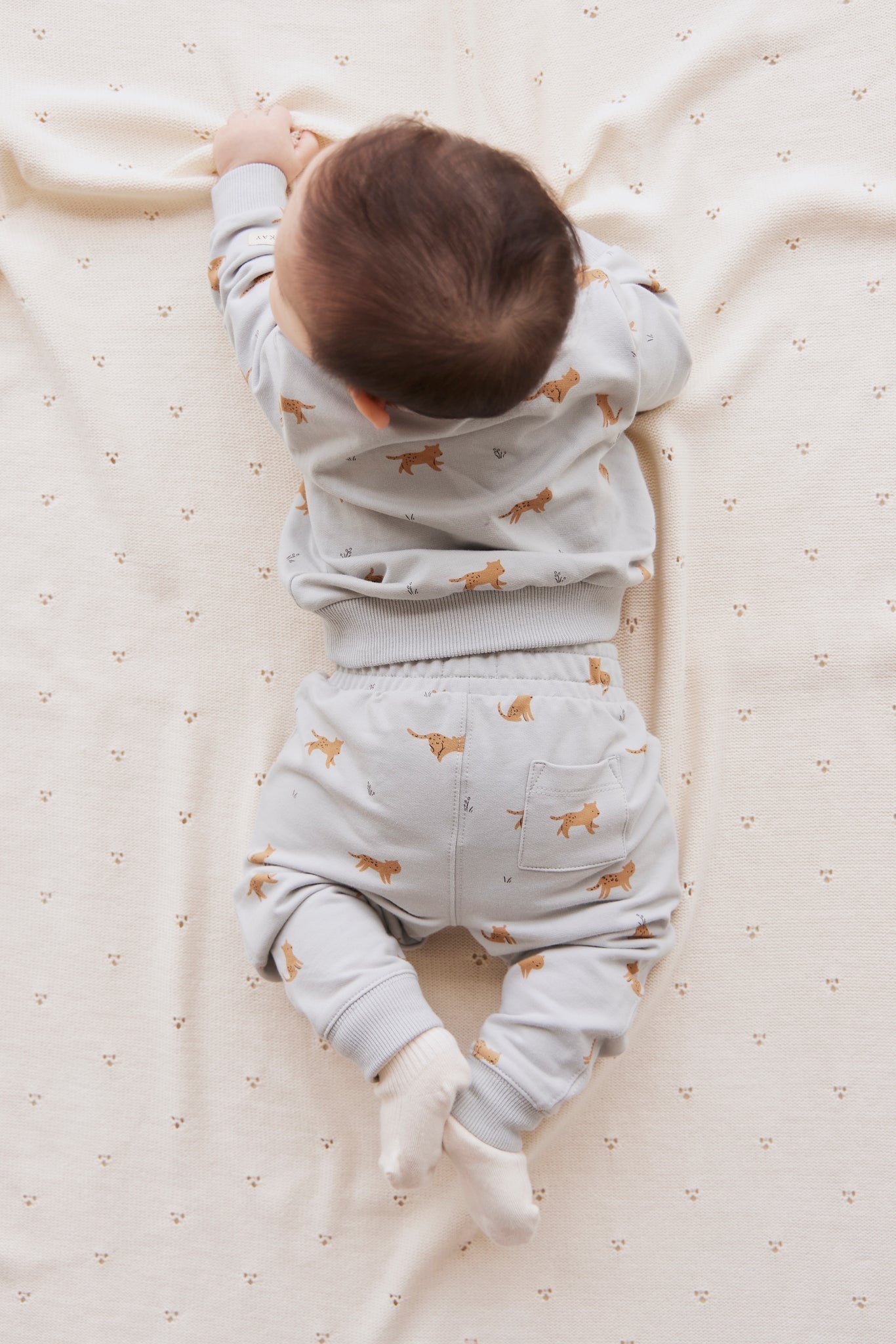 Organic Cotton Jalen Track Pant - Lenny Leopard Ocean Spray