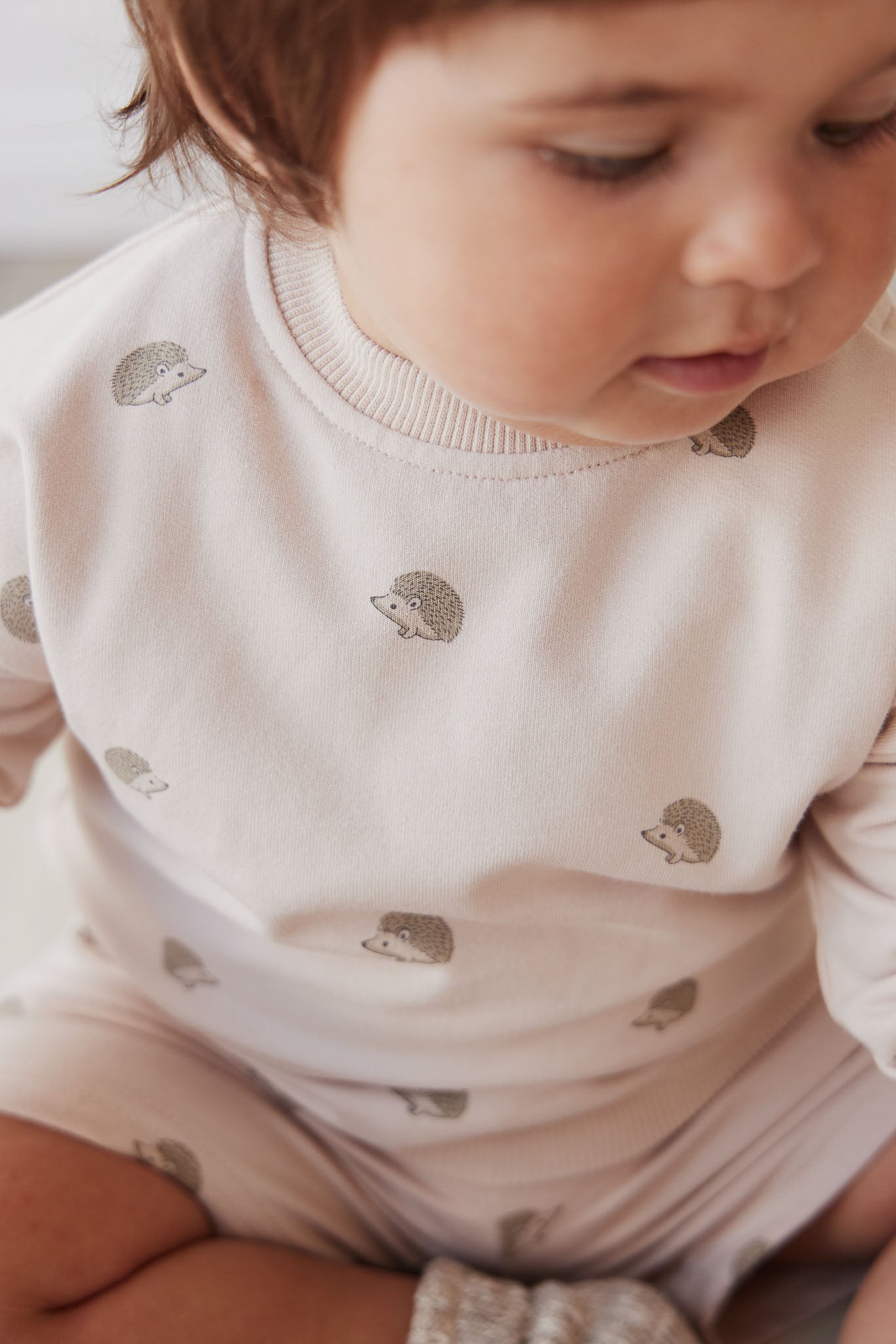 Organic Cotton Kit Sweatshirt || Henry Hedgehog Birch