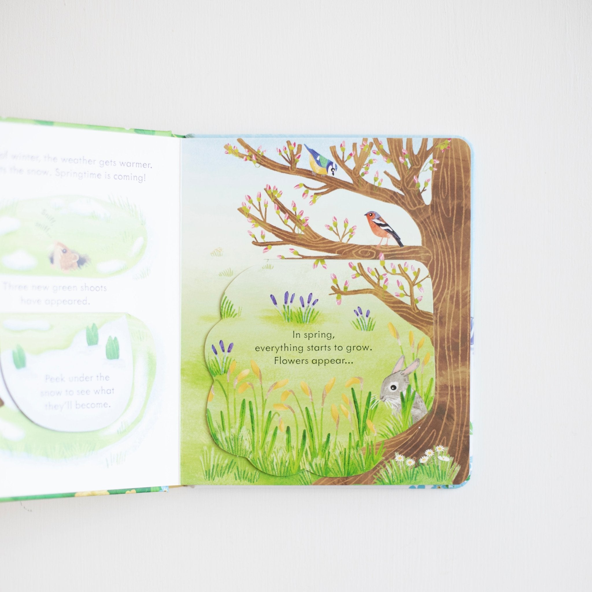 Peek Inside Springtime