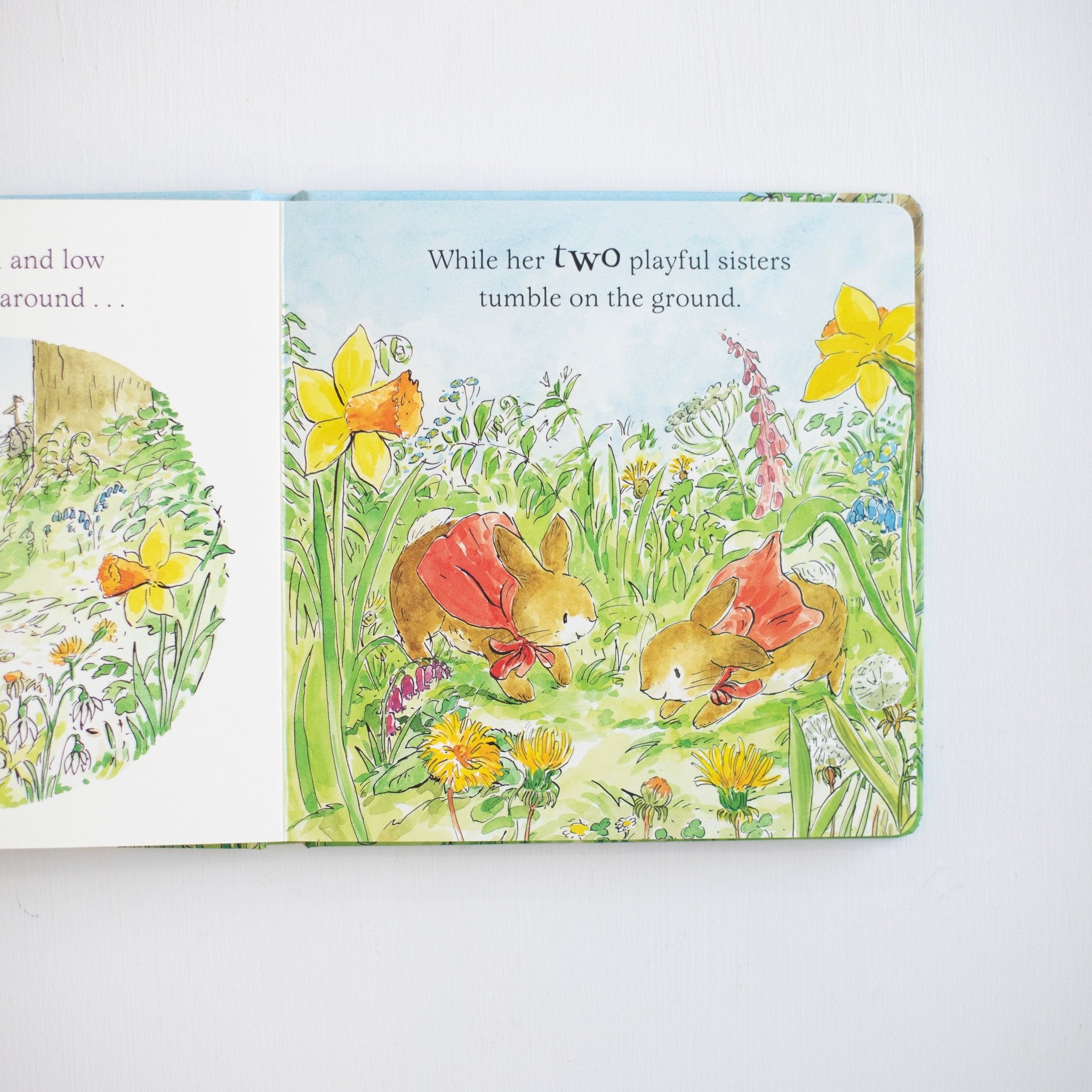 Peter's First Easter: A Counting Book with a Pop - Up Surprise!