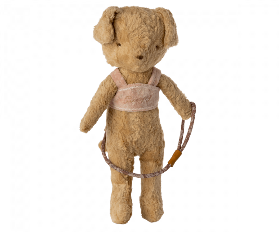 Puppy supply, Harness