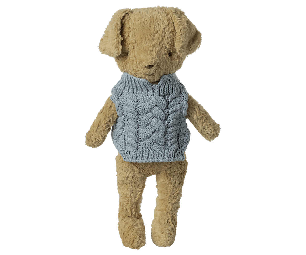 Puppy supply, Sweater - Blue