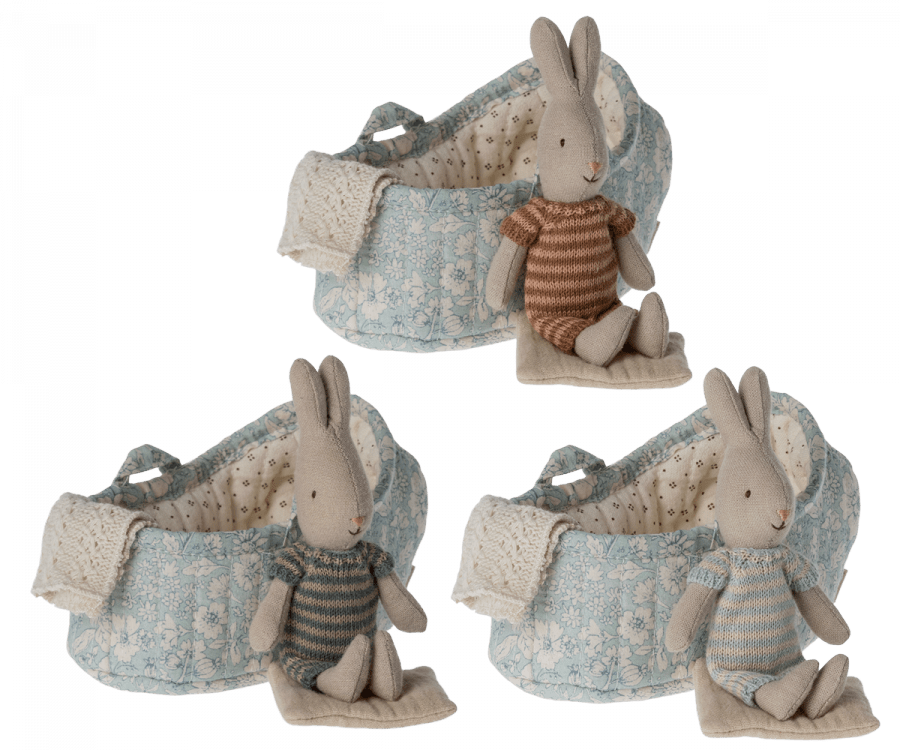 Rabbit in carry cot | Micro