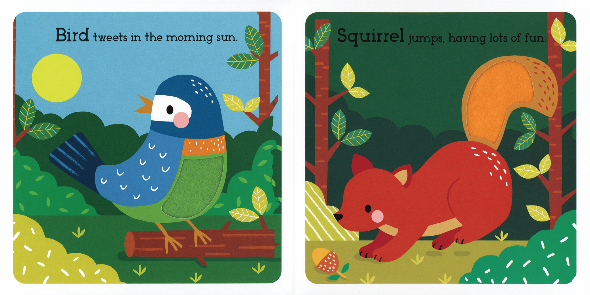 Read, Touch, Discover Wonderful Wildlife