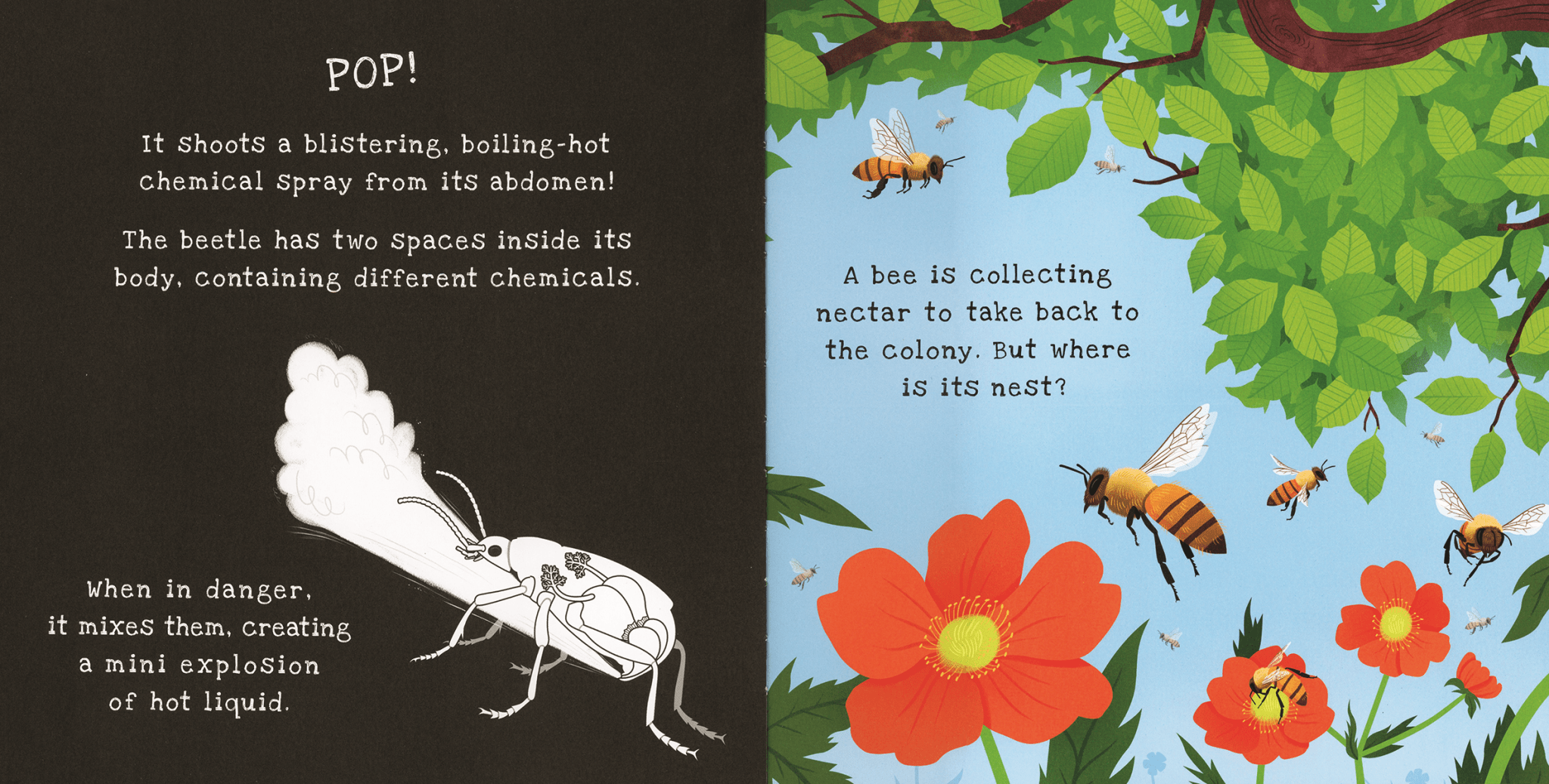 Shine - A - Light, Backyard Bugs
