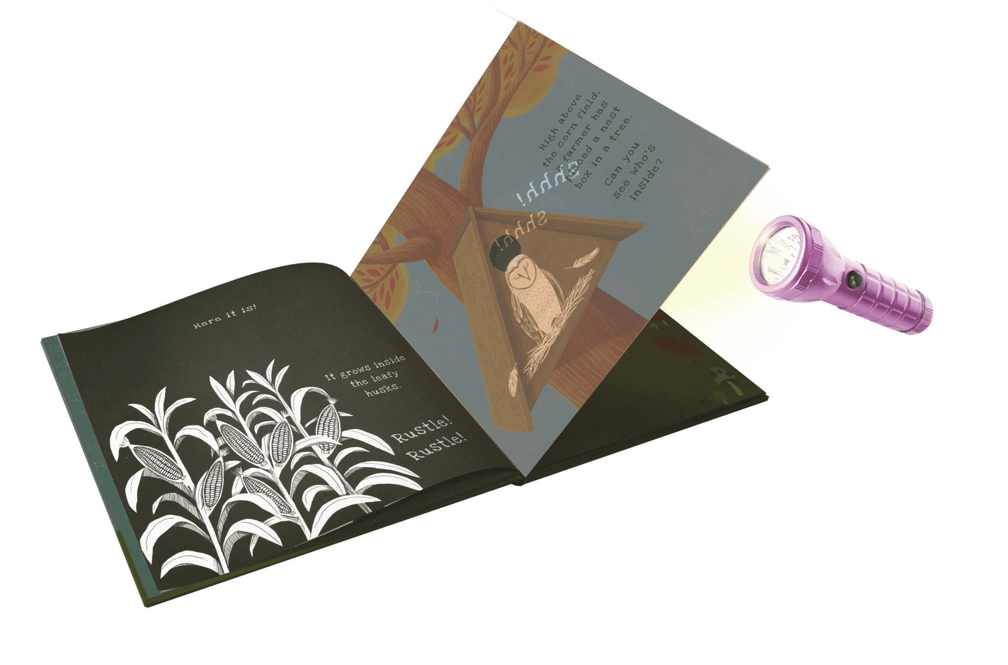 Shine - A - Light, On the Farm