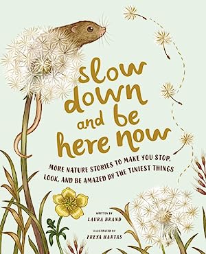 Slow Down and Be Here Now