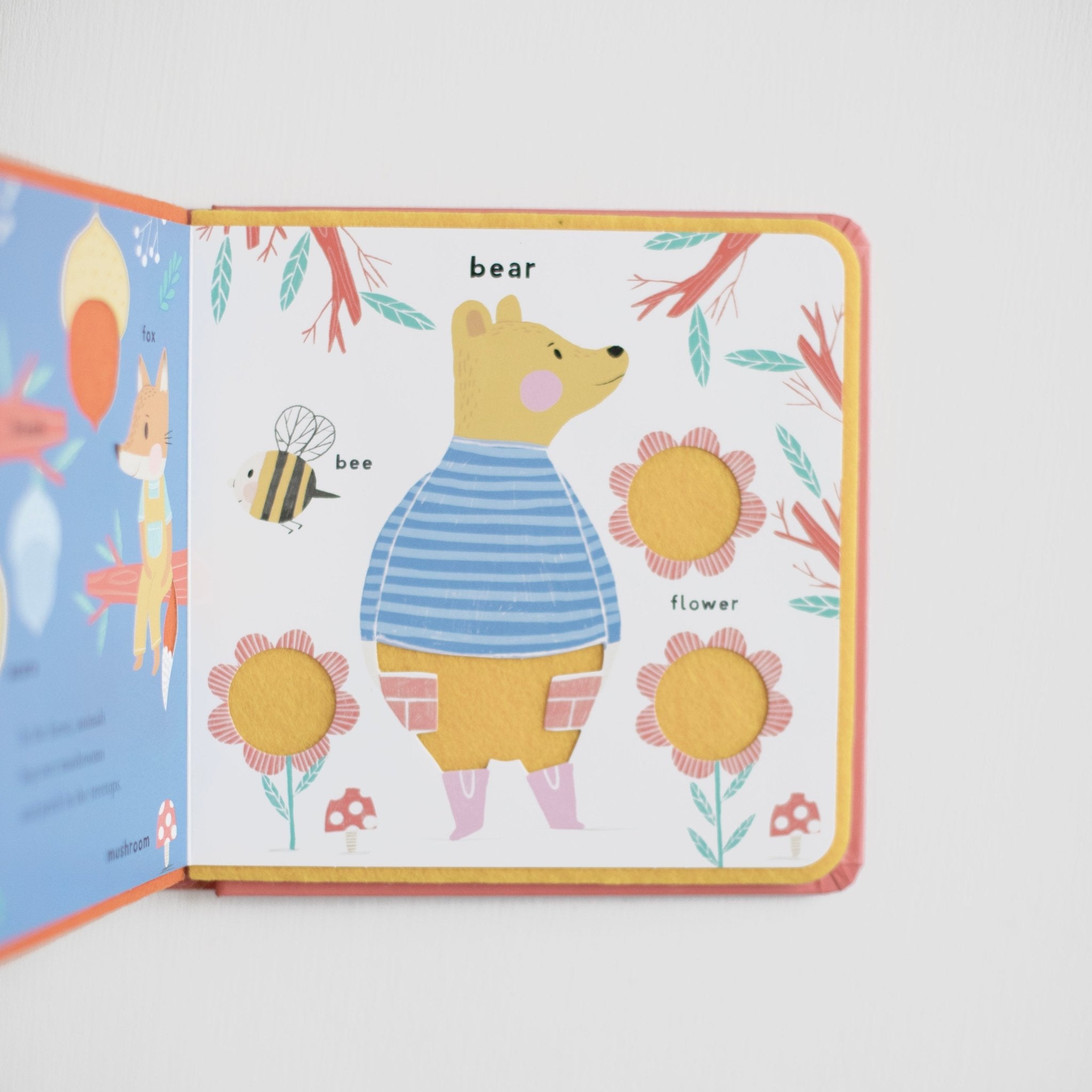 Soft To Touch Words Book || Animals