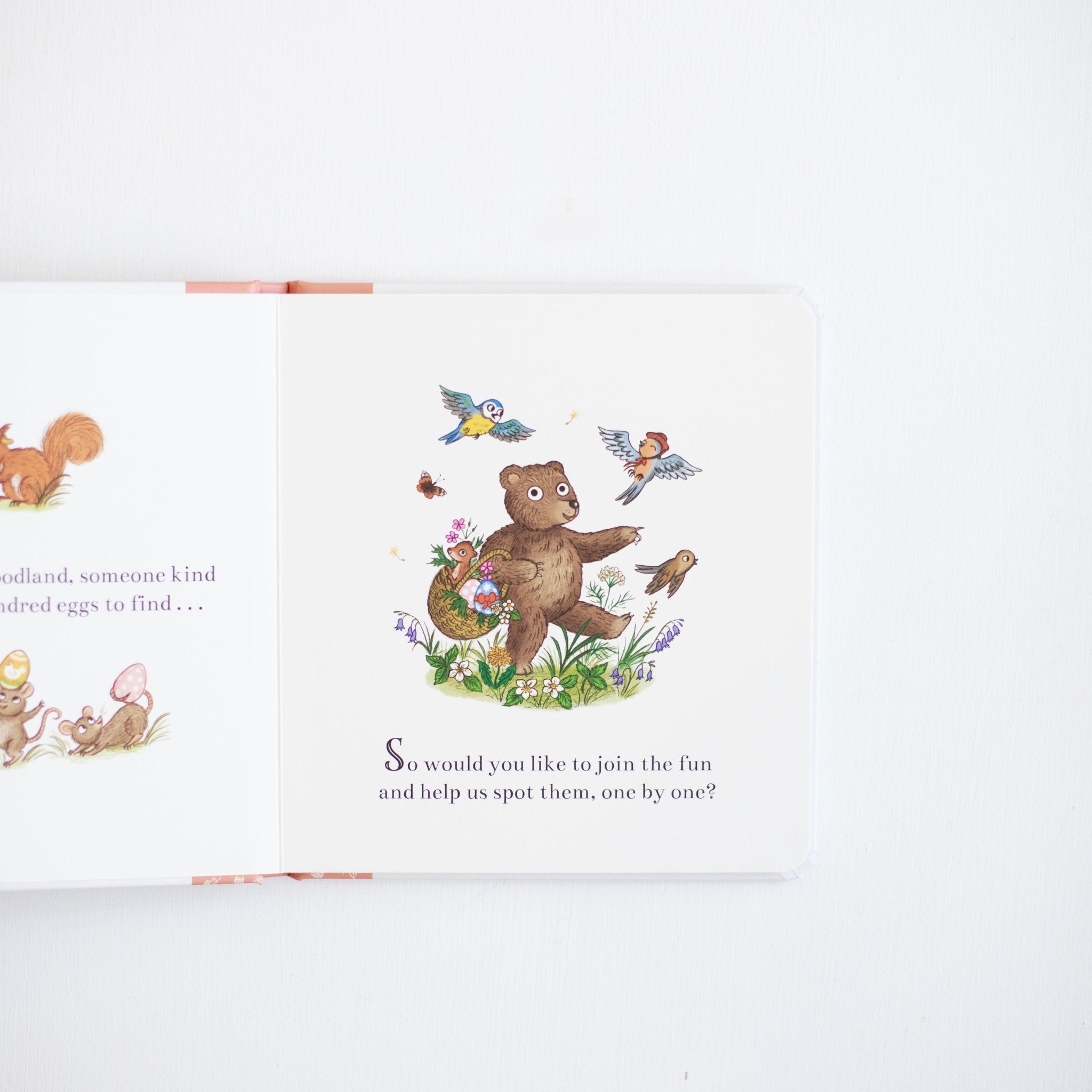 The Great Easter Egg Hunt (Brown Bear Wood)