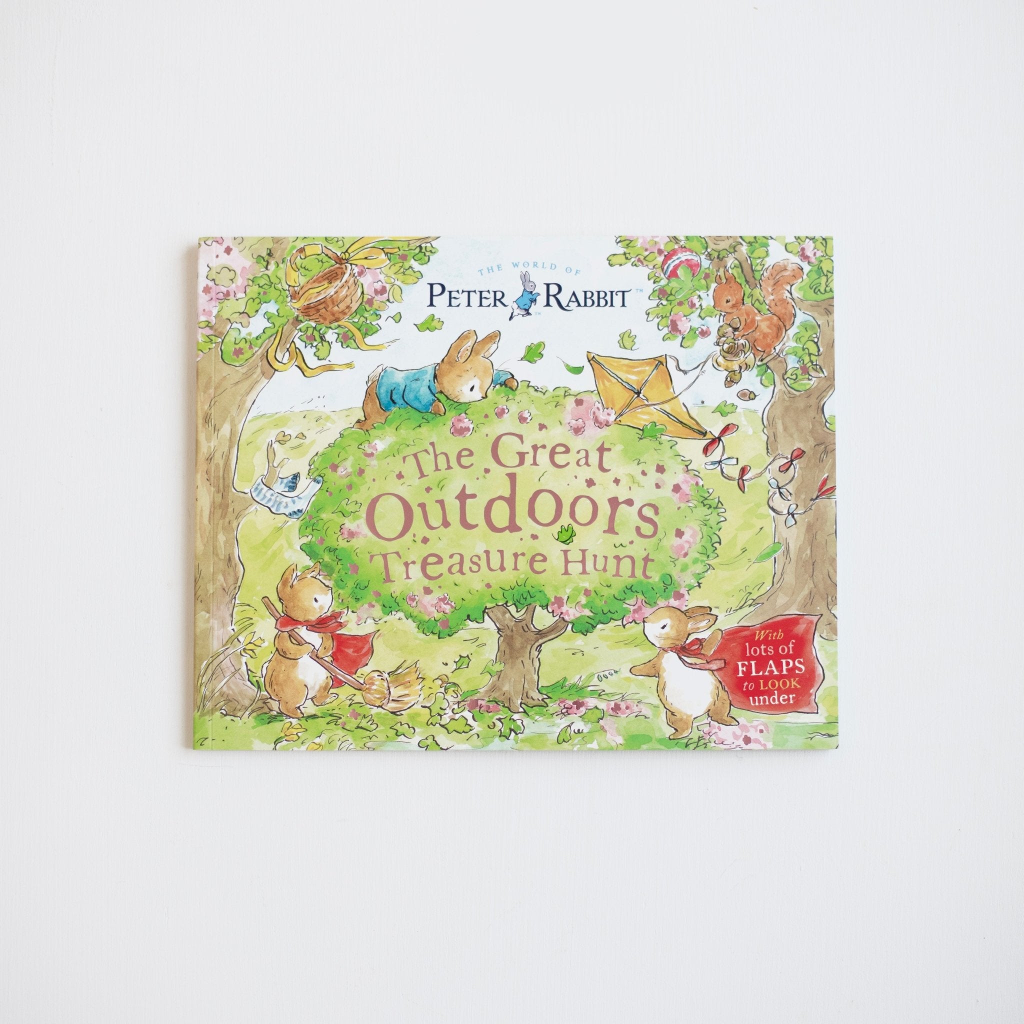 The Great Outdoors Treasure Hunt: With Lots of Flaps to Look Under