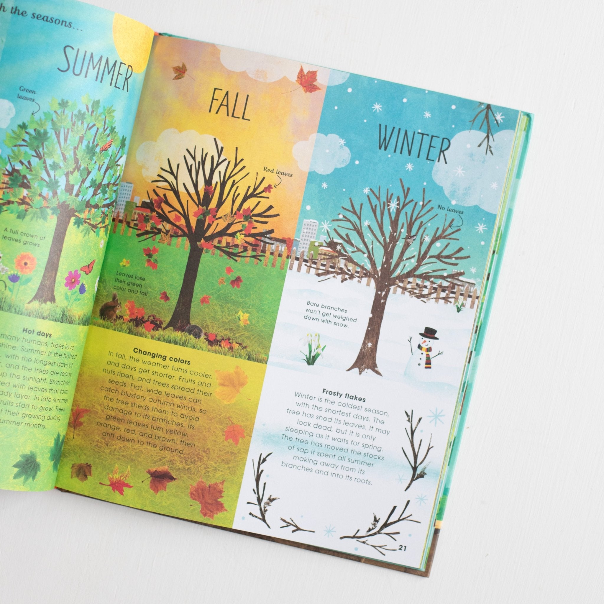 The Magic and Mystery of Trees