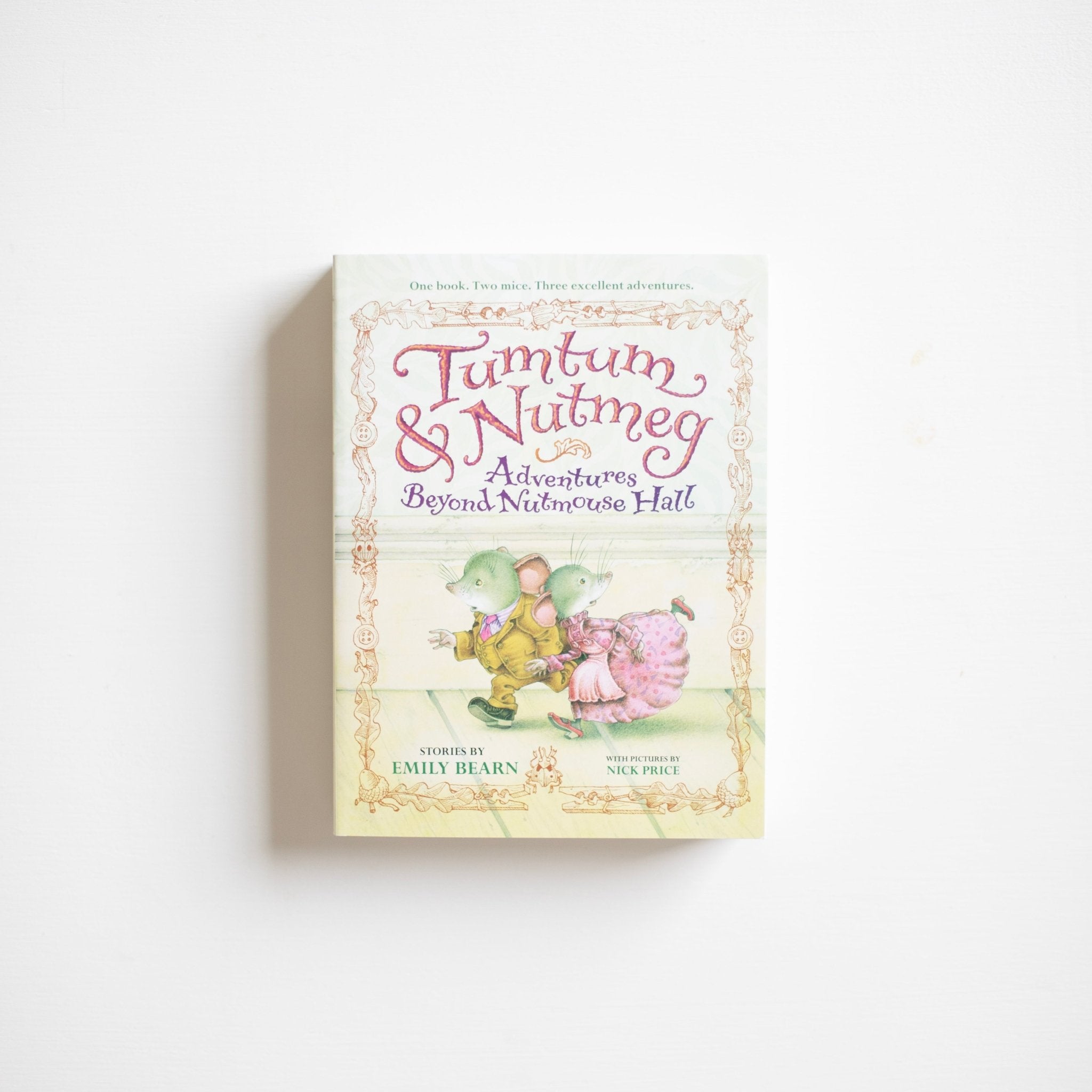Tumtum & Nutmeg: Adventures Beyond Nutmouse Hall (Book 1)