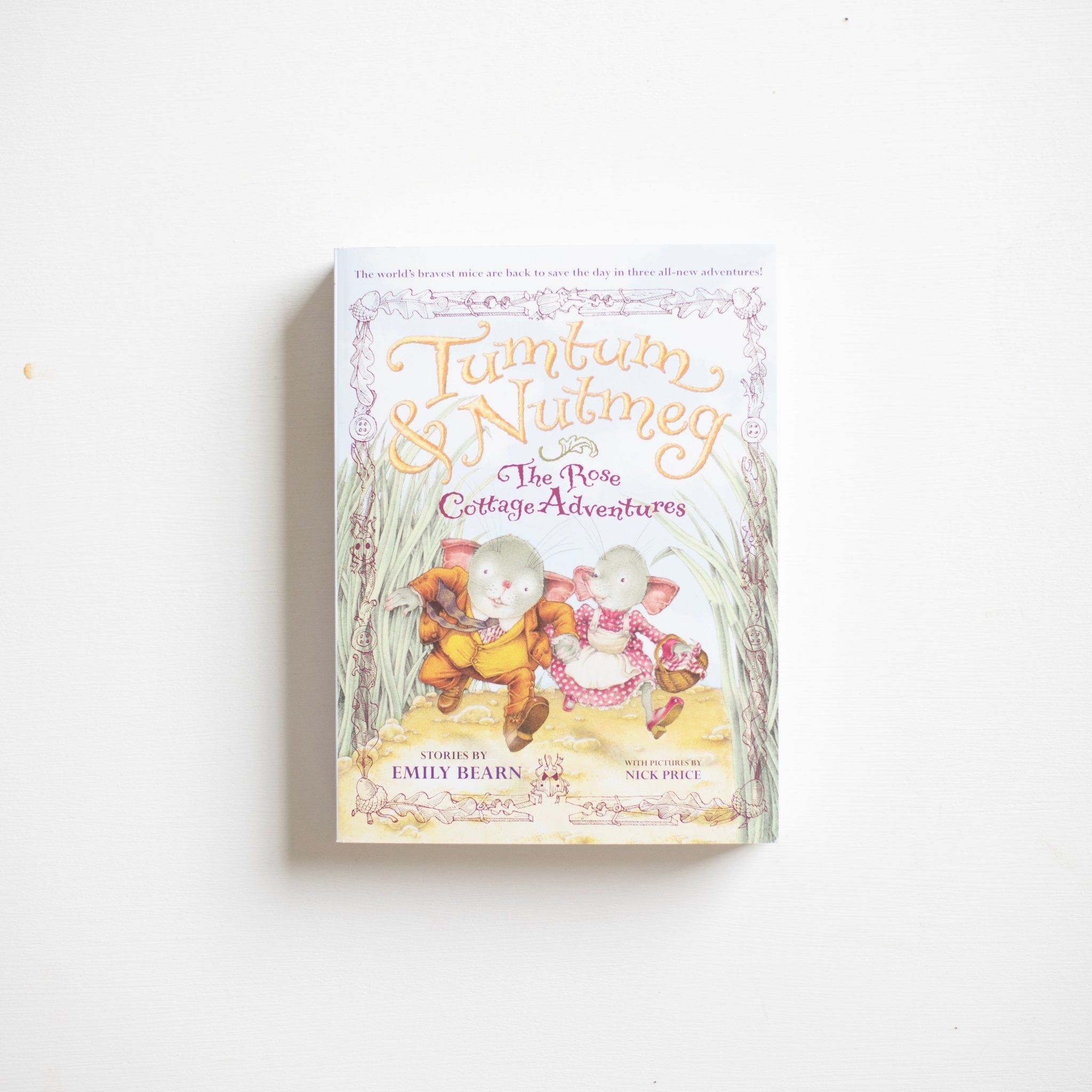 Tumtum & Nutmeg: The Rose Cottage Tales (Book 2)