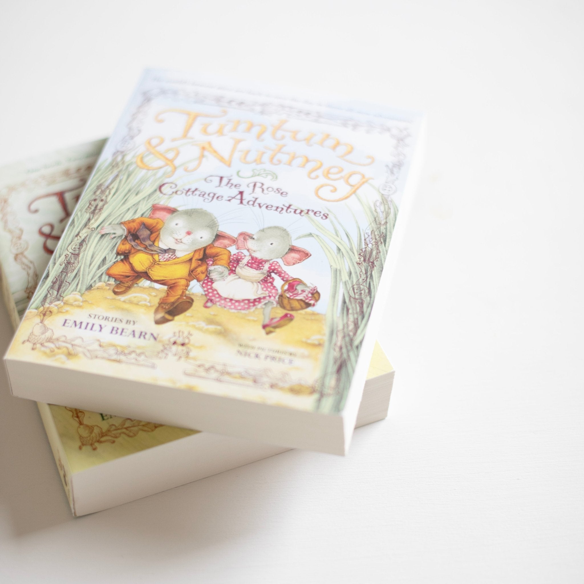 Tumtum & Nutmeg: The Rose Cottage Tales (Book 2)