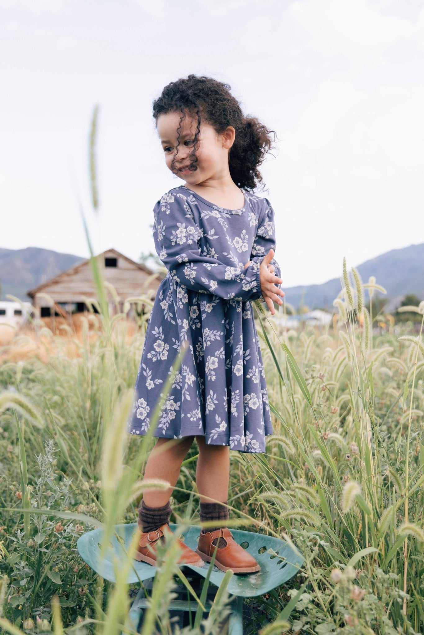 Twirl Dress | Fall Hellebore