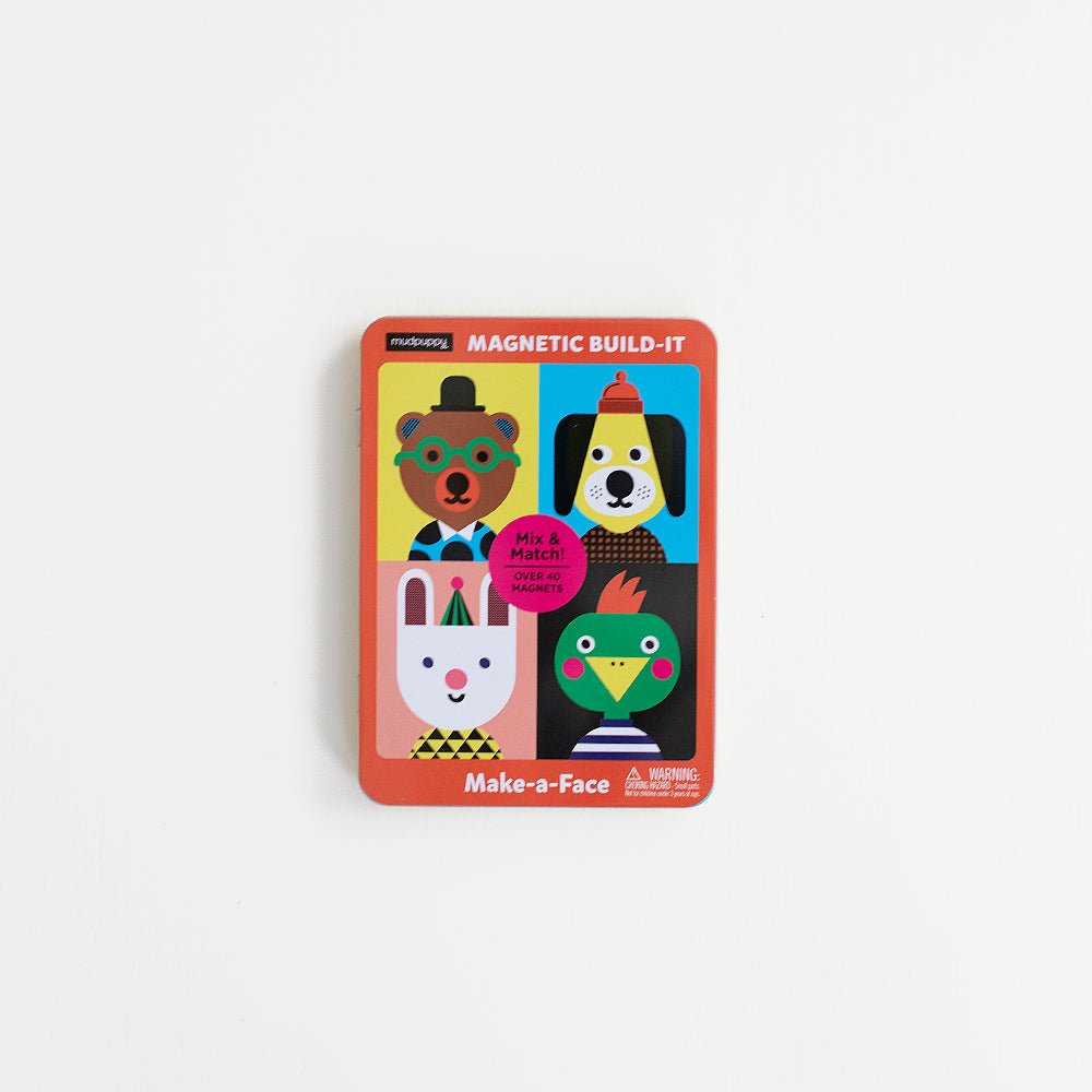 Make - a - Face Magnetic Build - It