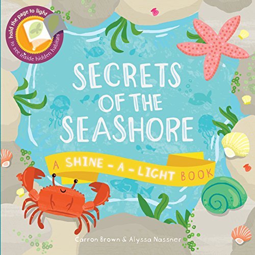 Secrets of the Seashore (Shine - A - Light Book)