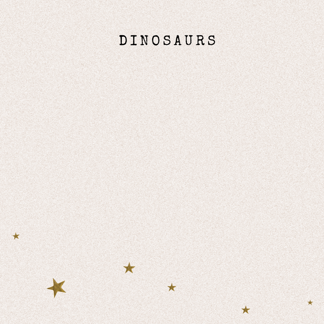 Dinosaurs Curated Gifts