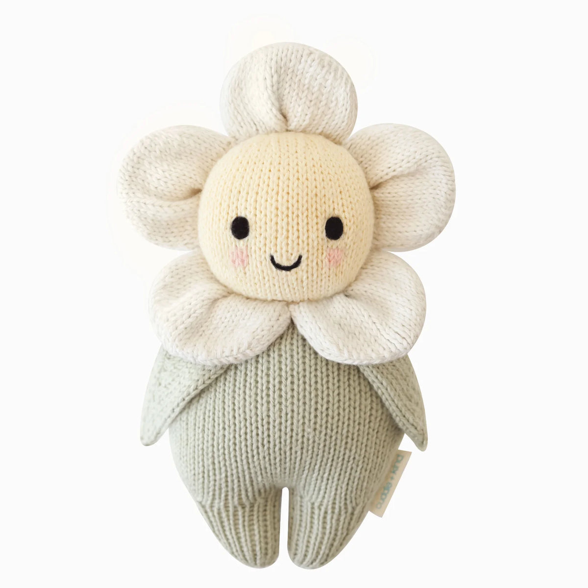 Baby Daisy || Ivory
