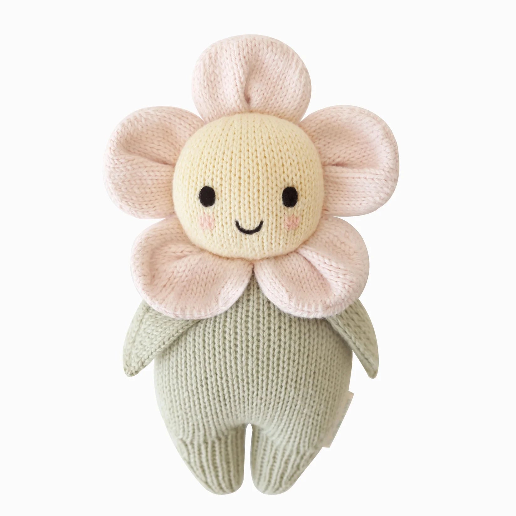 Baby Daisy || Blush Pink