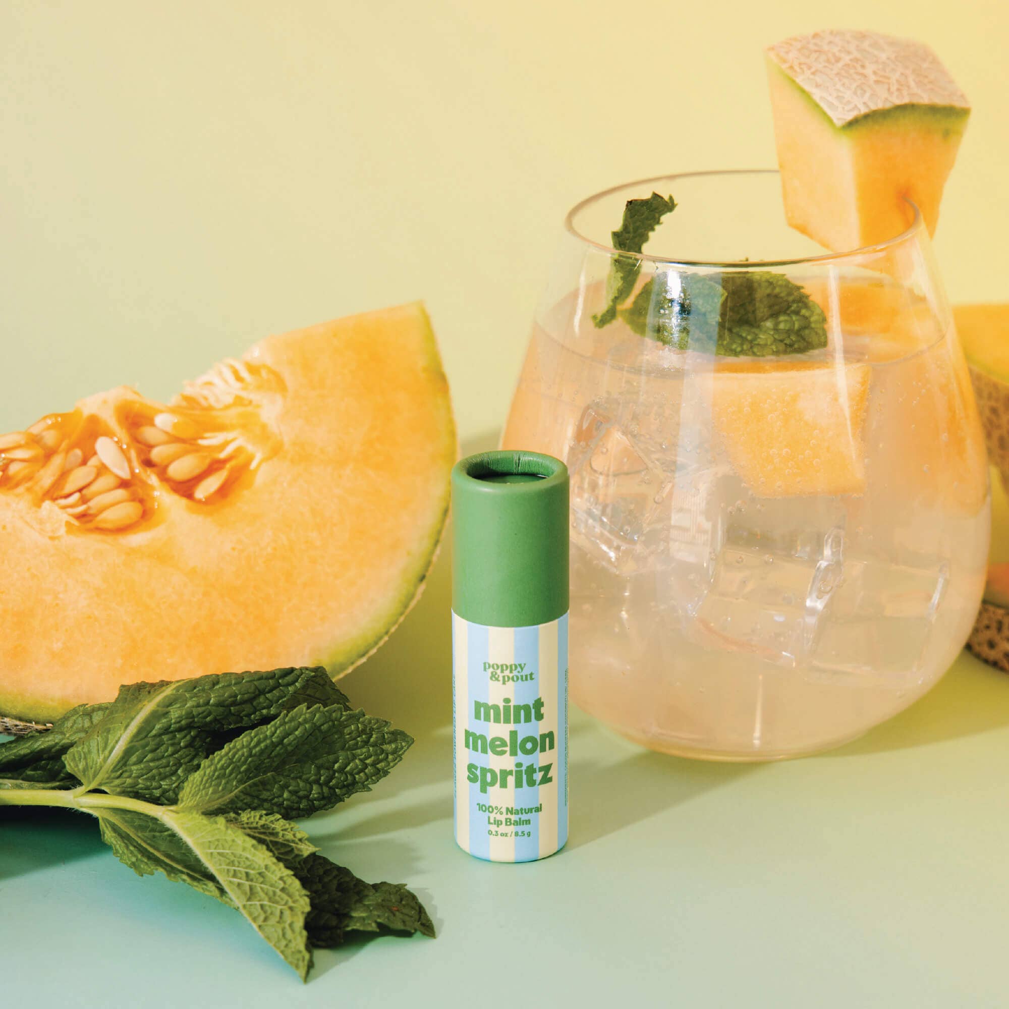 Lip Balm - Retro Refreshers || Mint Melon Spritz