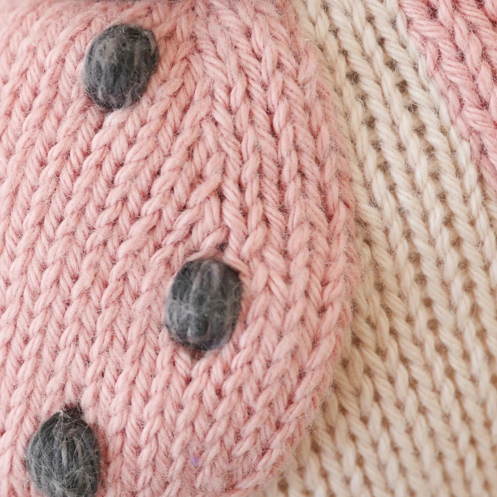 Baby Lady Bug