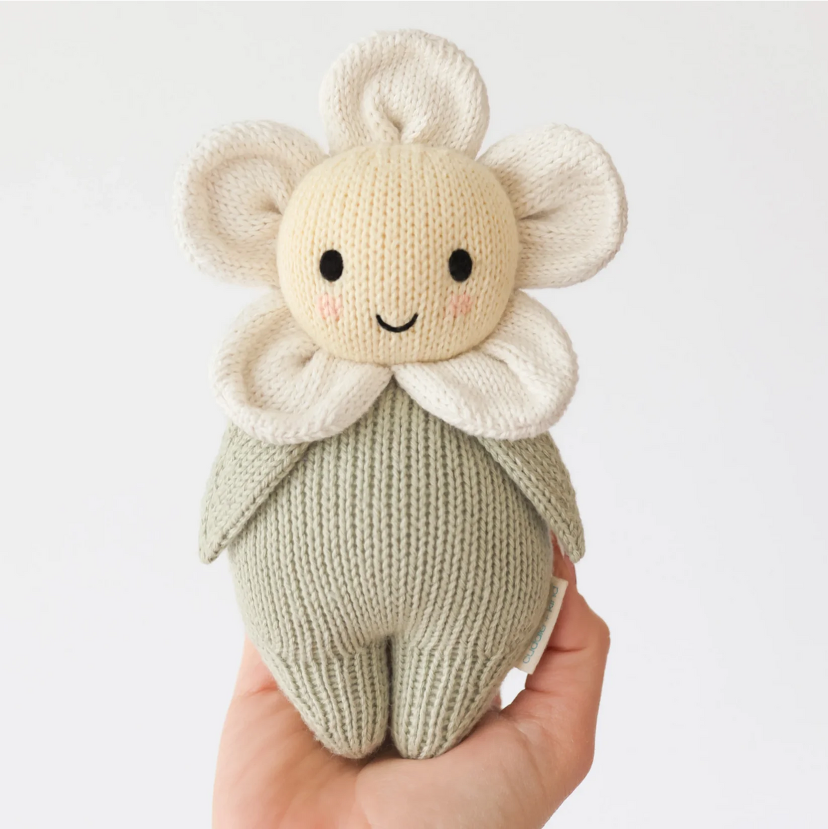 Baby Daisy || Ivory