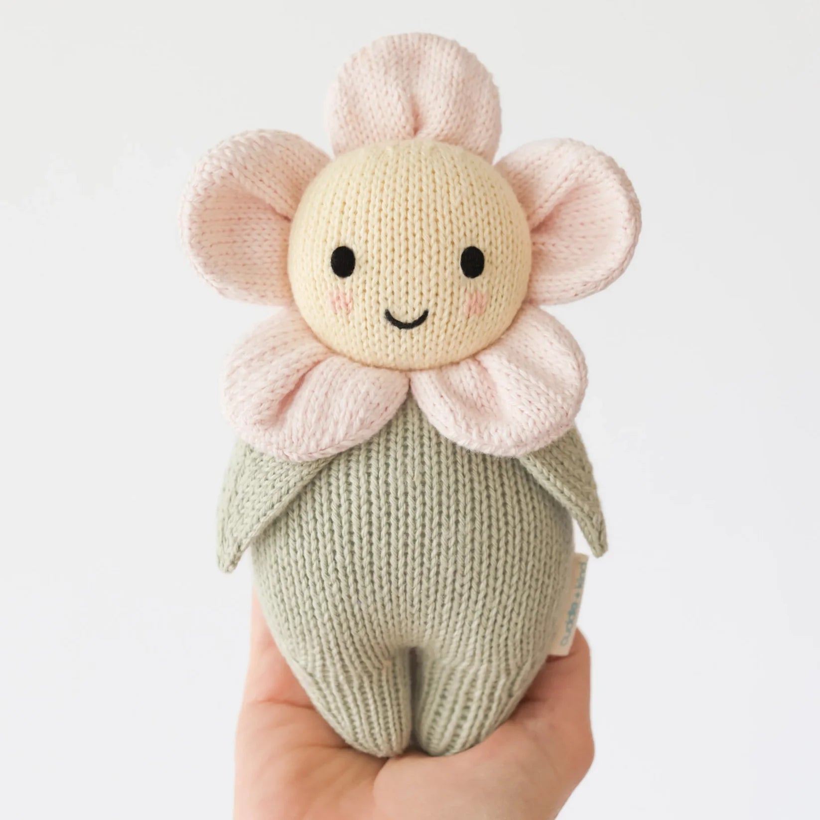 Baby Daisy || Blush Pink
