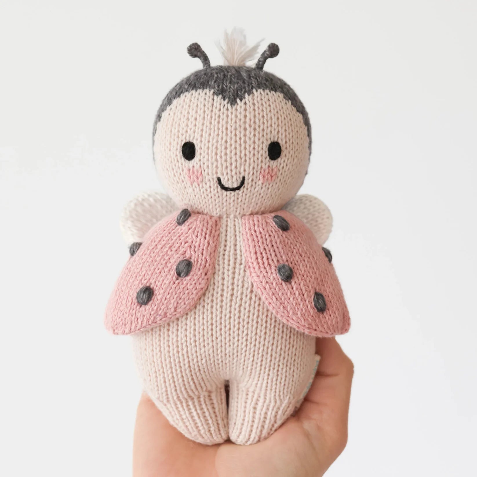 Baby Lady Bug