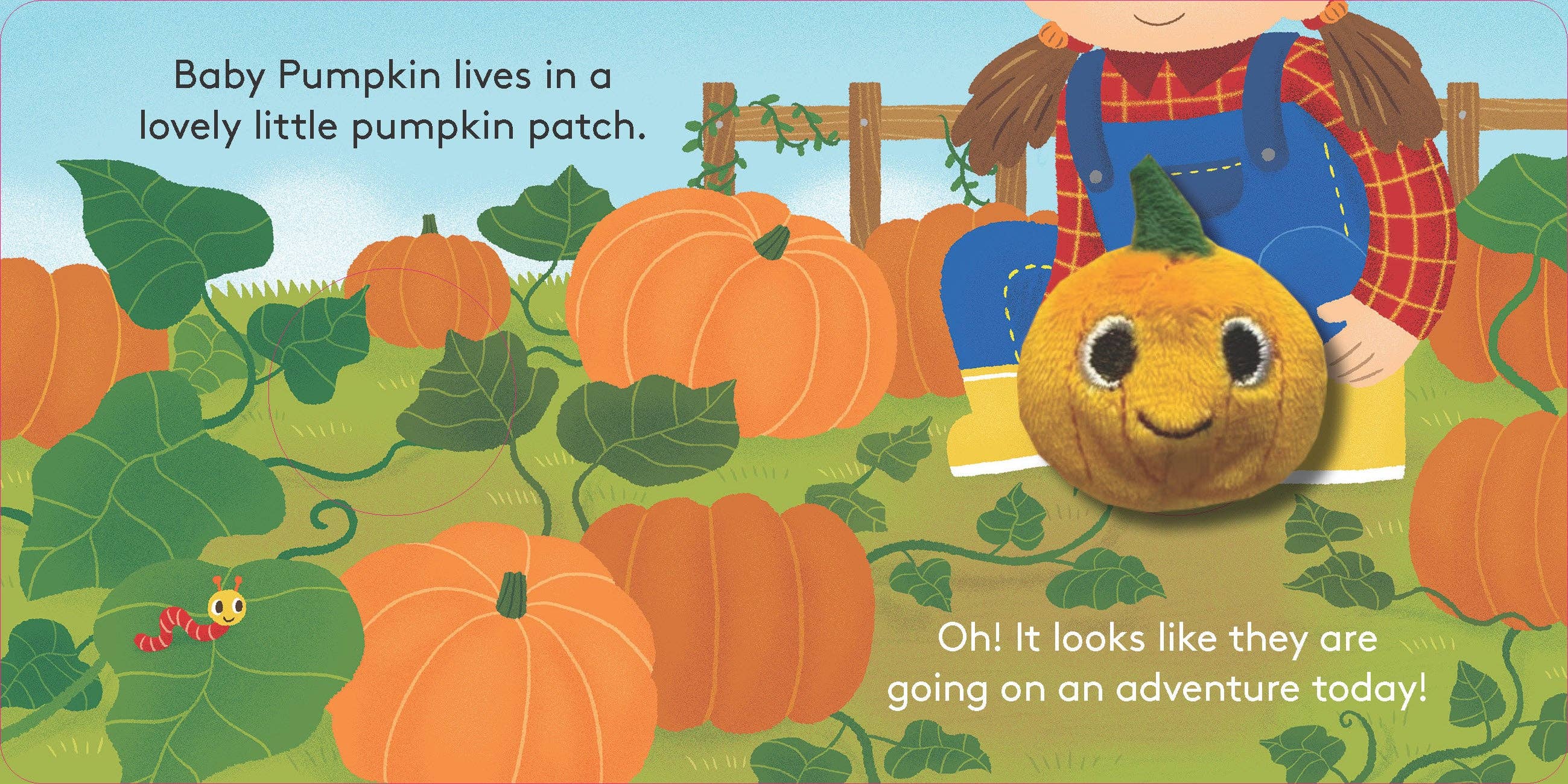 Finger Puppet Book ||  Baby Pumpkin