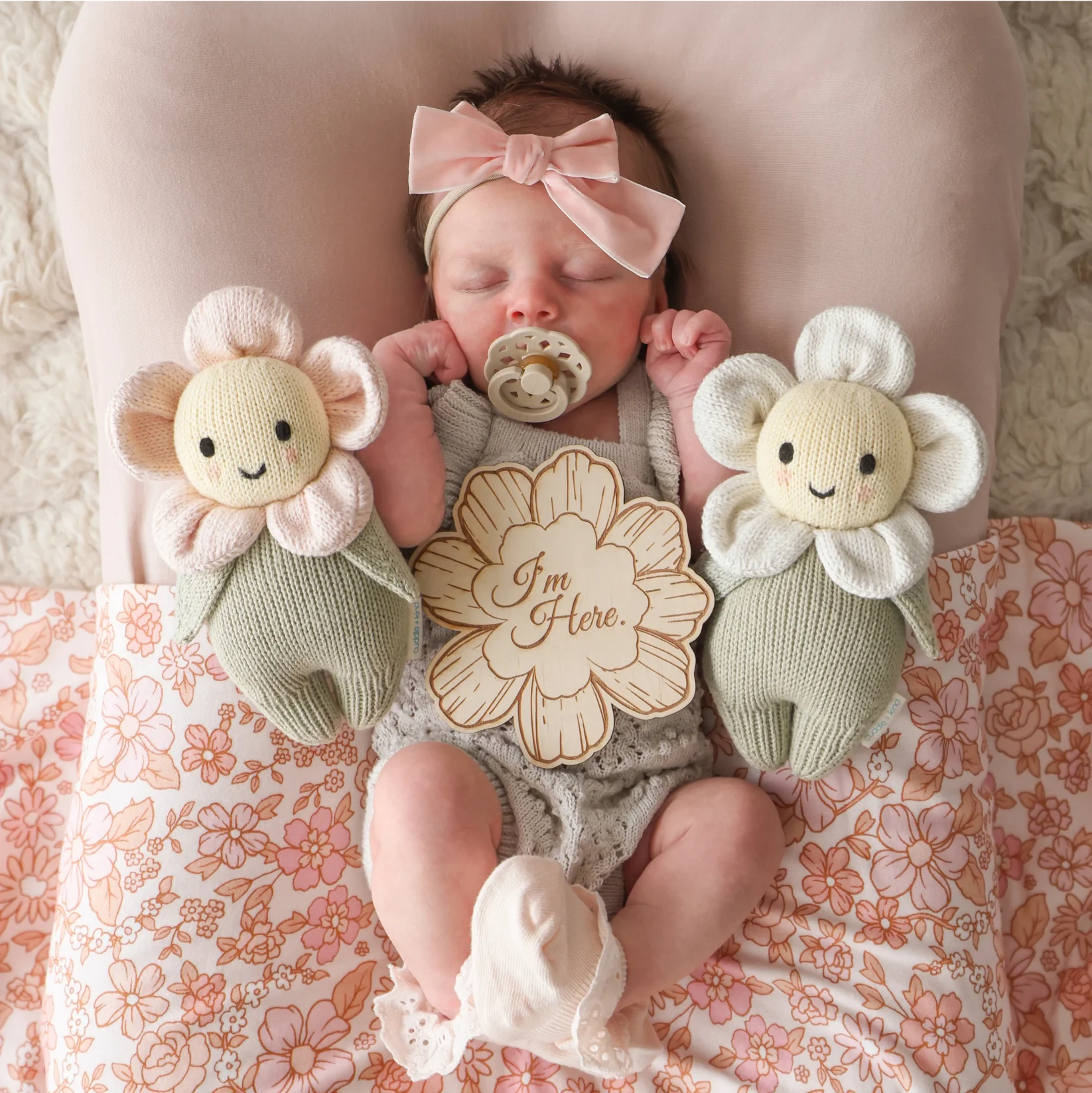 Baby Daisy || Ivory