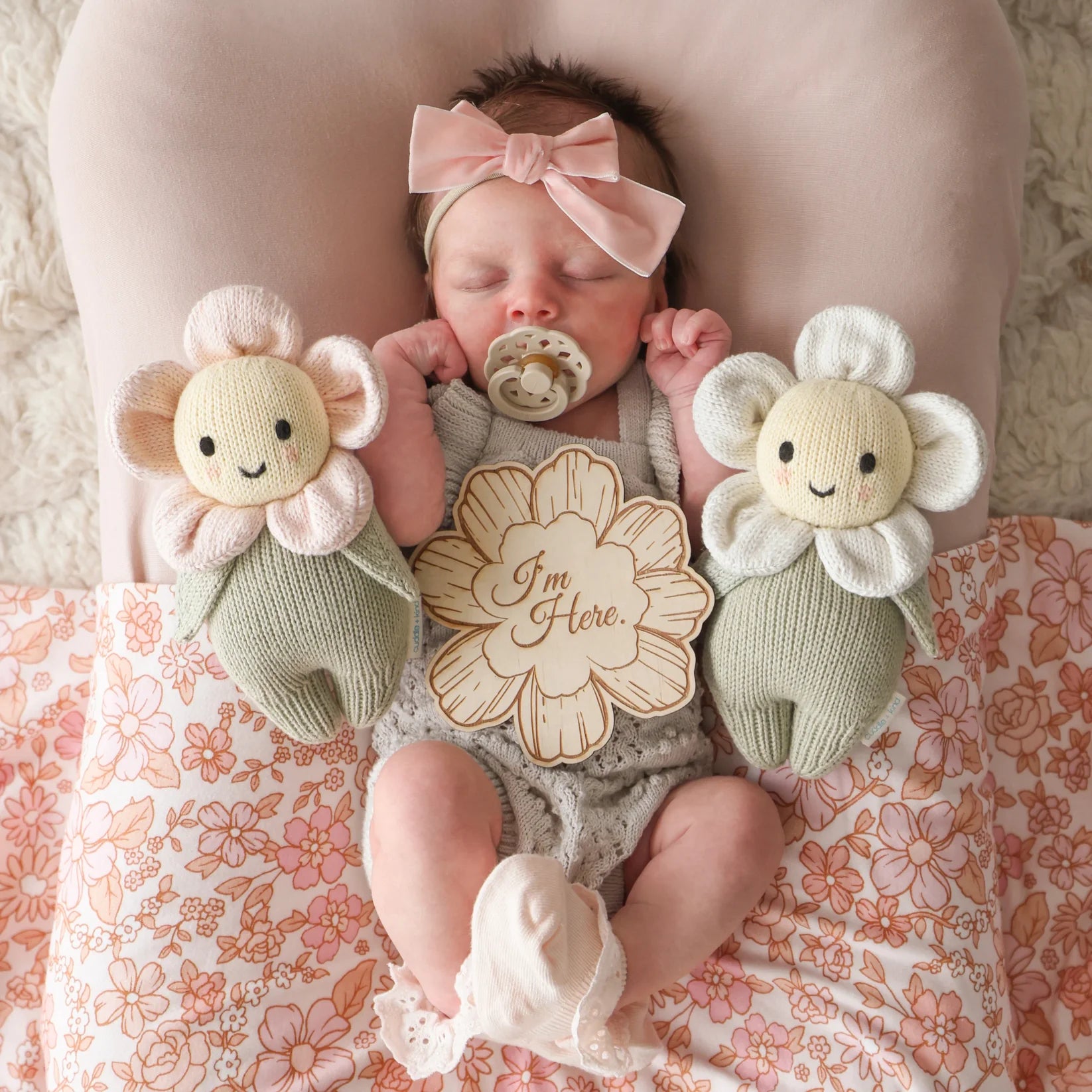 Baby Daisy || Blush Pink