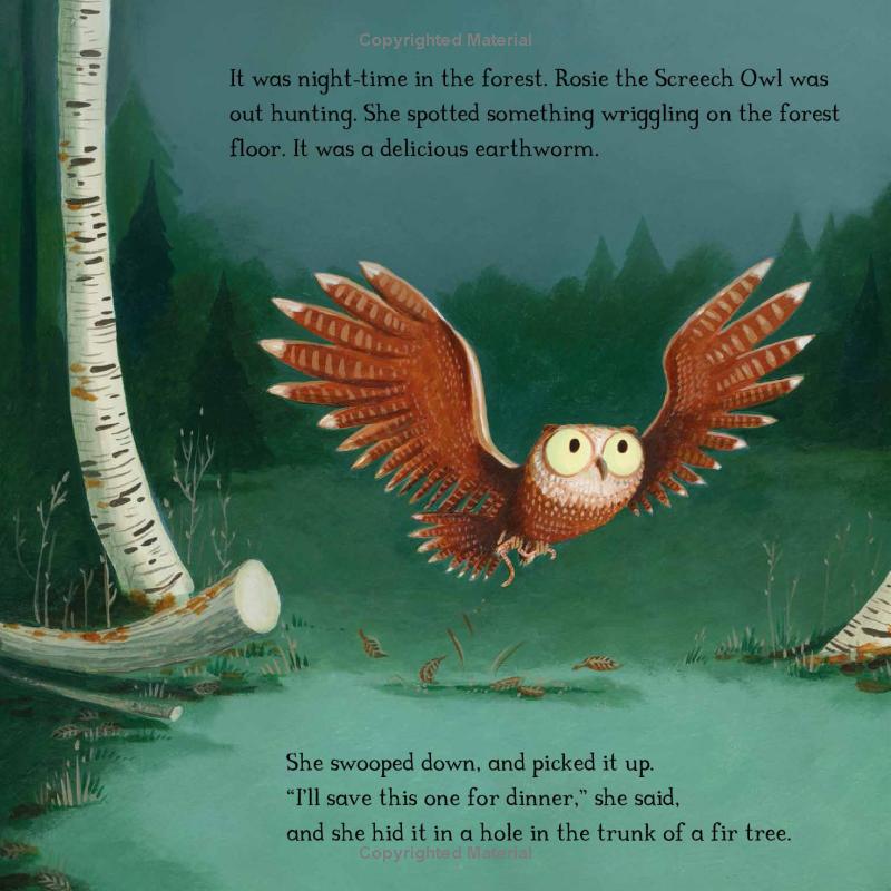 The Owl Who Came for Christmas