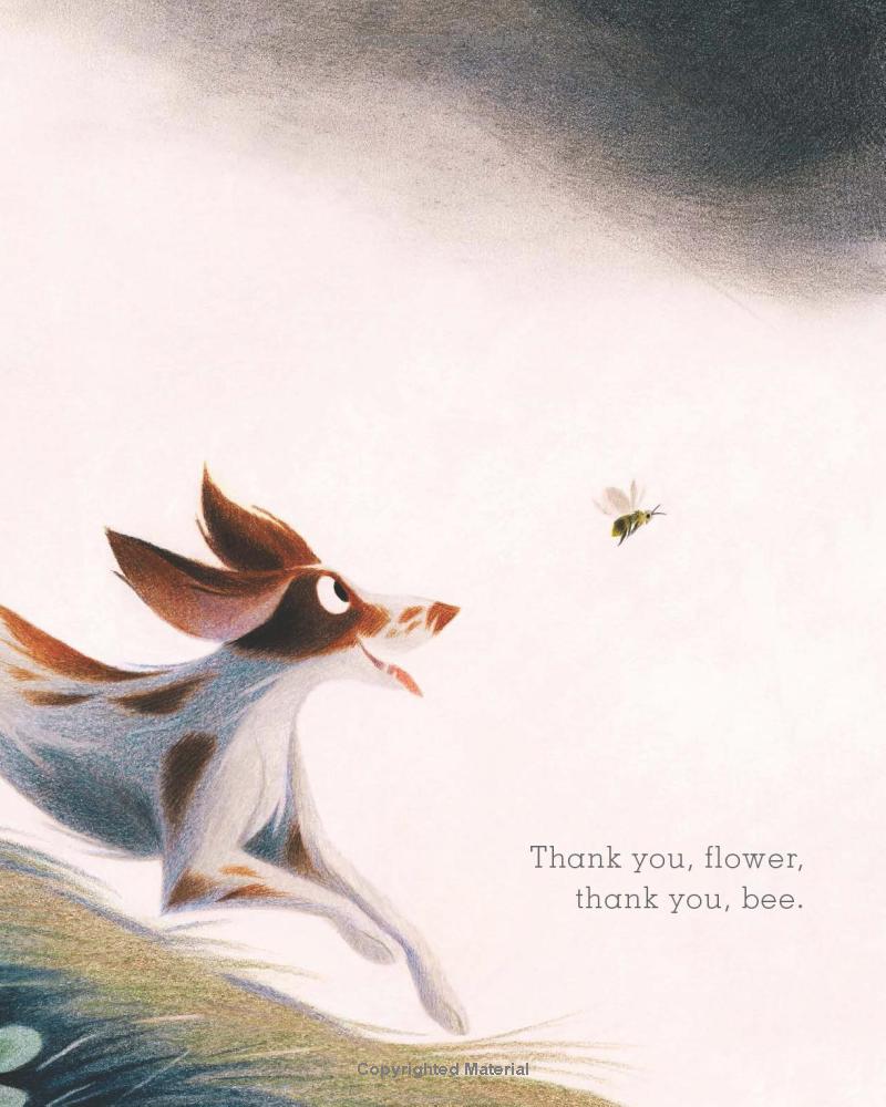 Apple Cake: A Gratitude