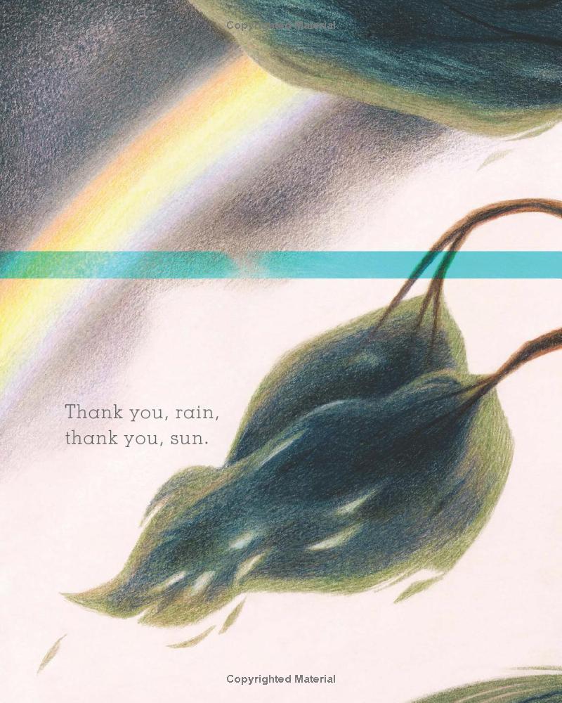Apple Cake: A Gratitude