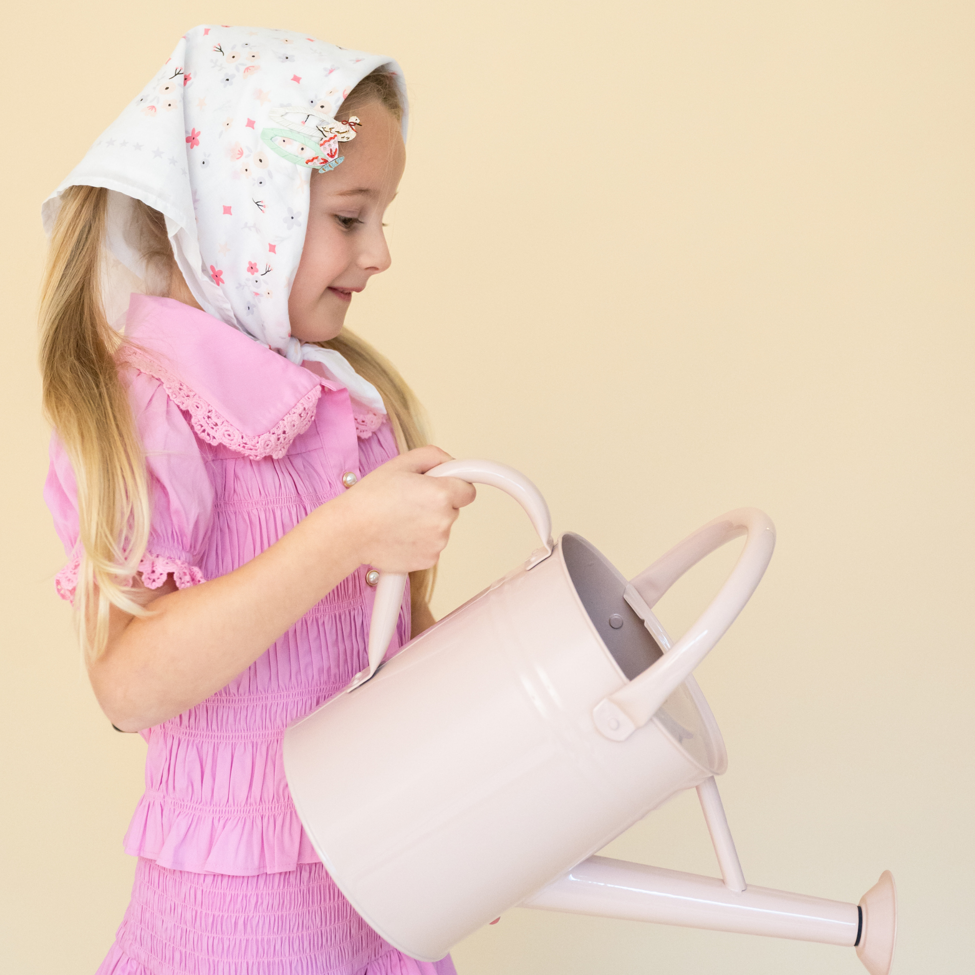 Silly Goose Hair Clip Set