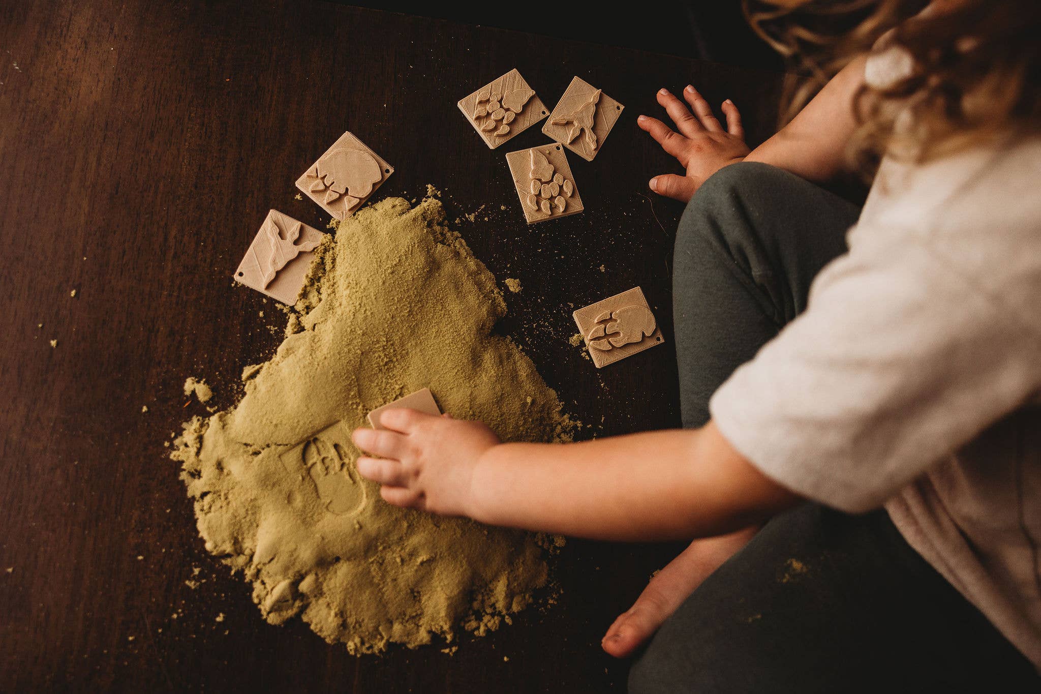 Dinosaur Foot Print Eco Cutter ™ Stamp Set